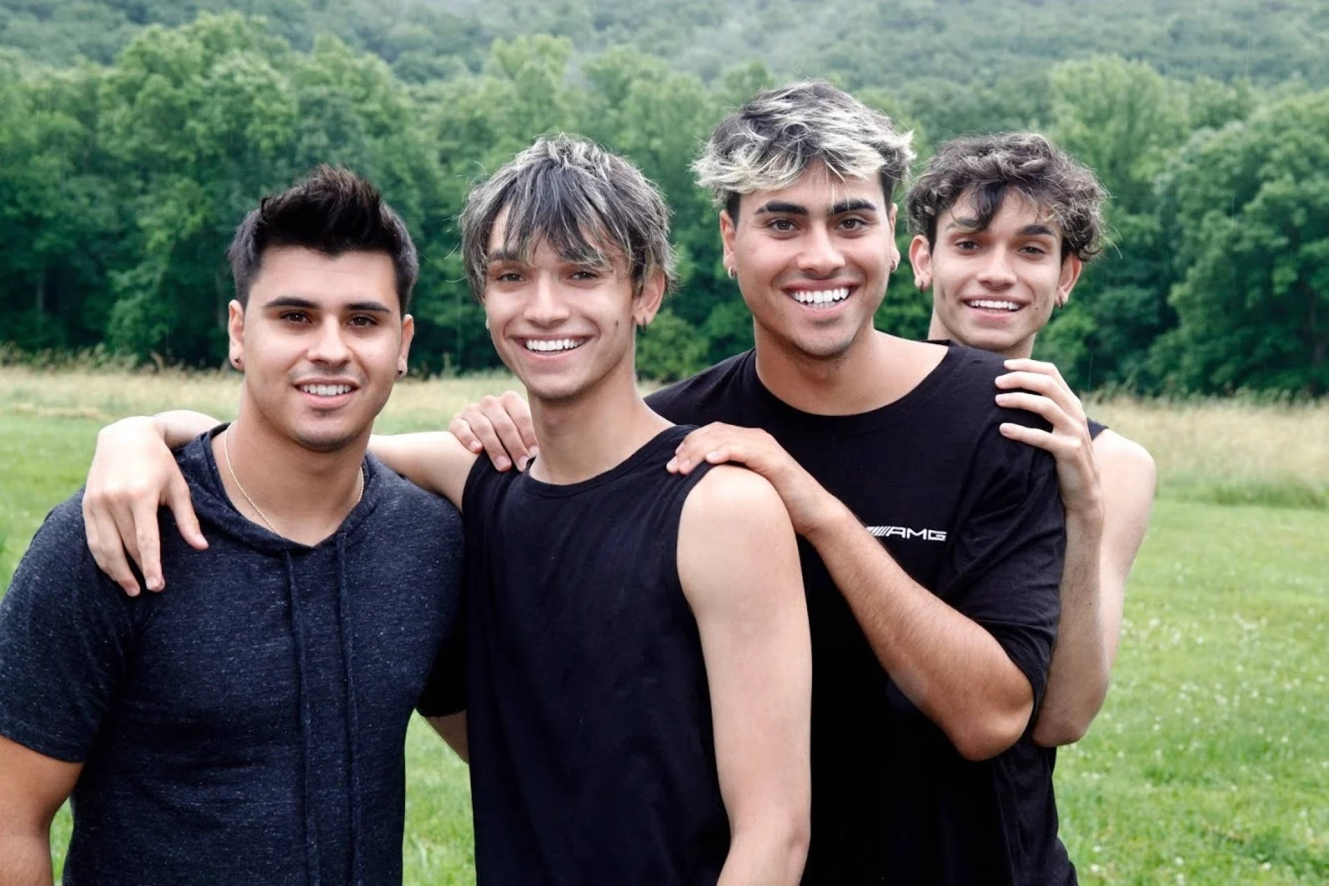 Dobre Brothers, sunlit grassy field, dense green trees, Full HD Desktop Wallpaper
