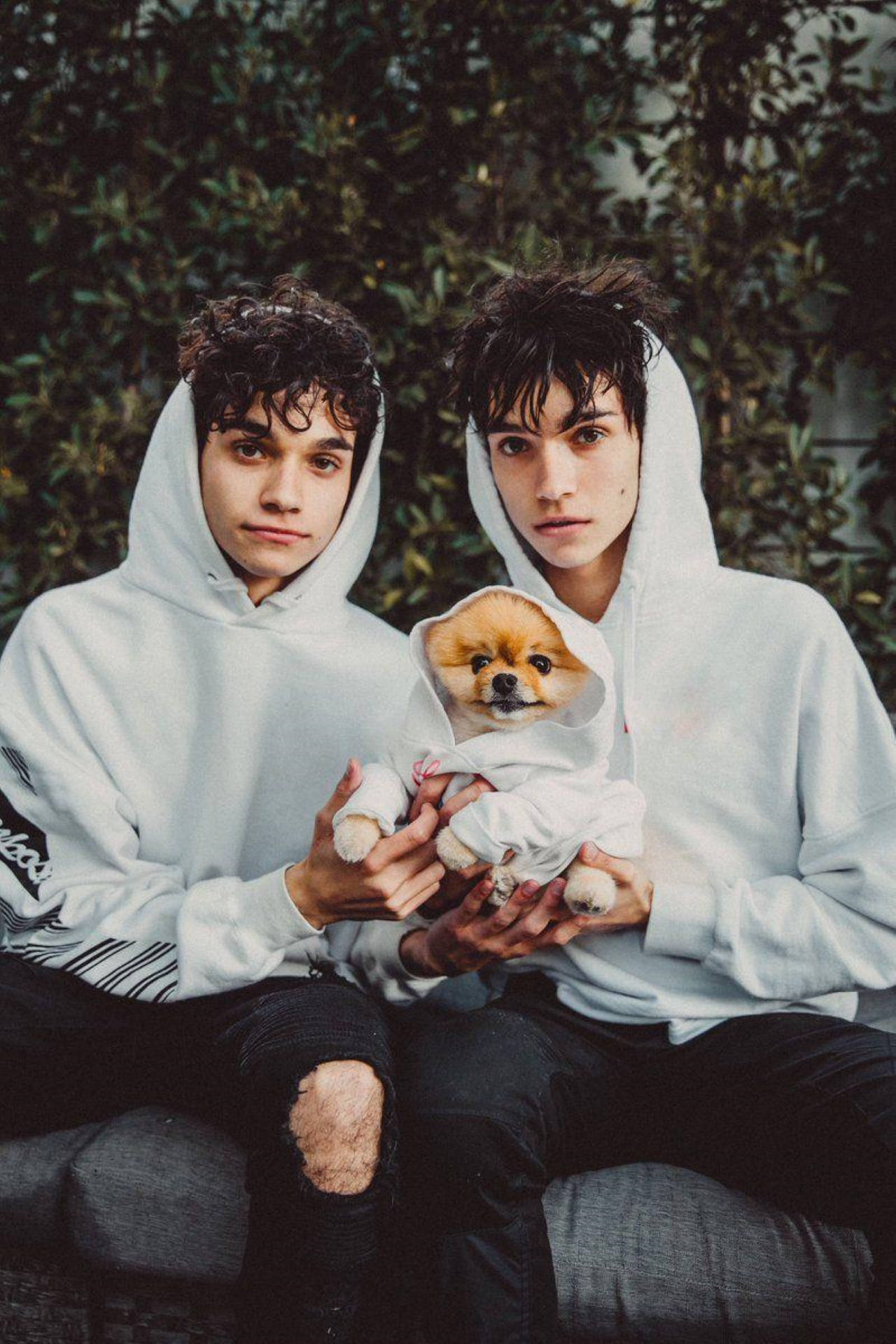 Dobre Brothers, white hoodies, small dog, Full HD Phone Wallpaper