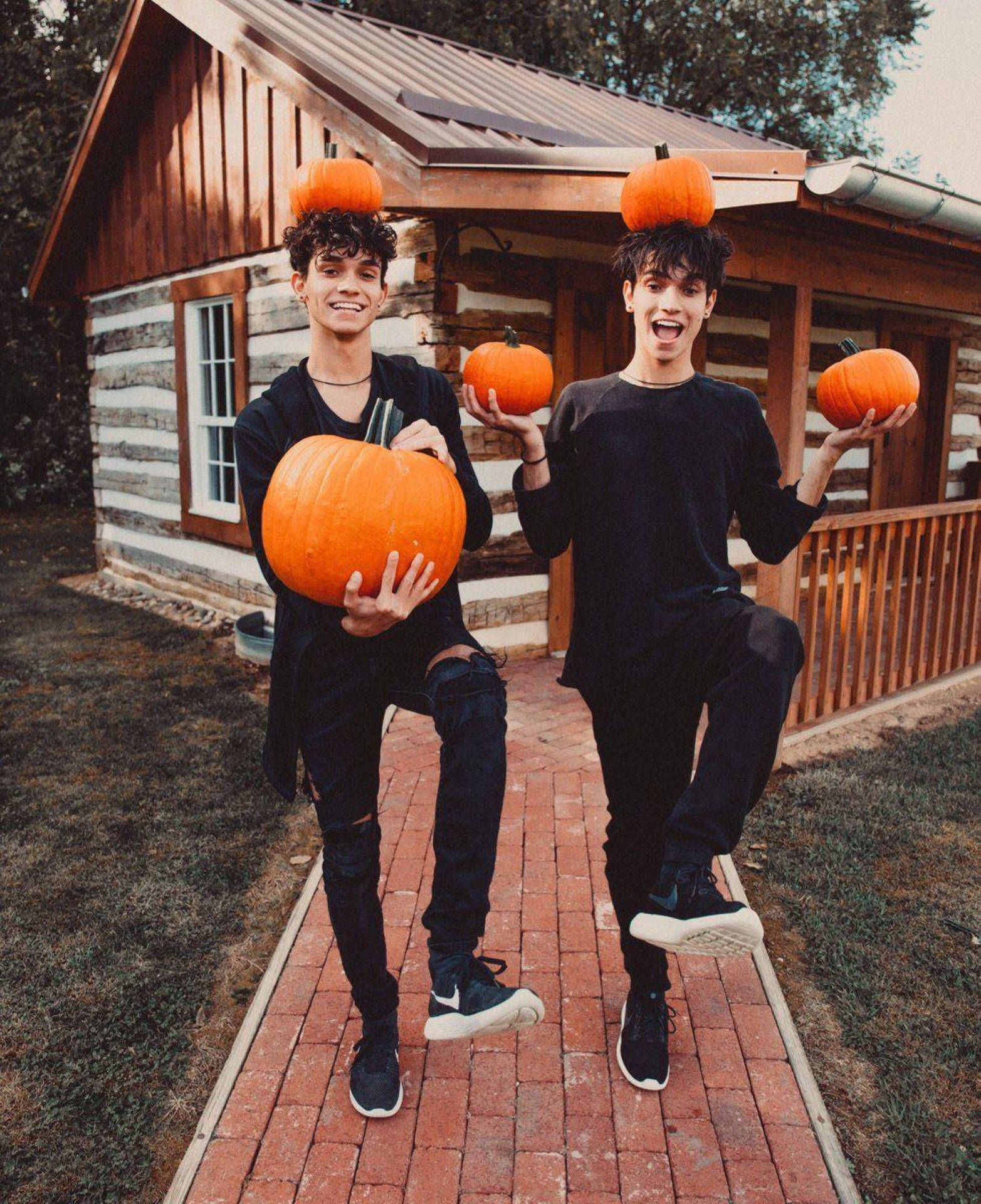 Dobre Brothers, pumpkins, brick path, Full HD Phone Wallpaper