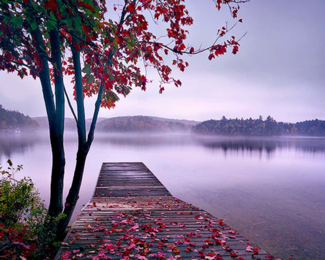 autumn lake, wooden dock, fallen red leaves, HD Desktop Wallpaper