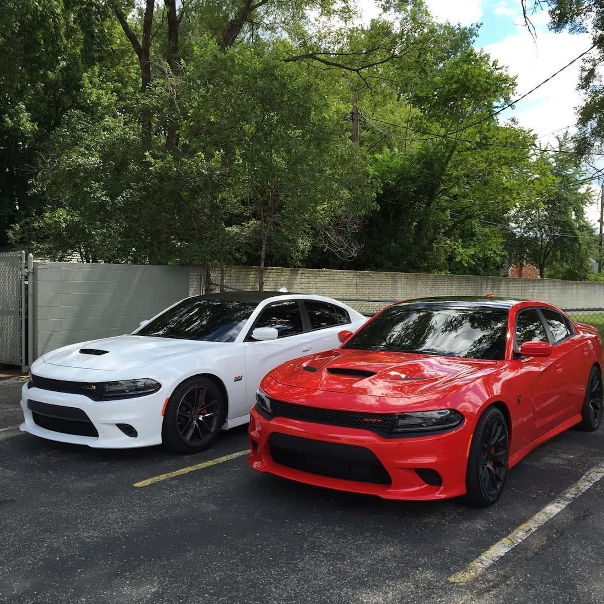 Dodge Charger, white, red, Full HD Desktop Wallpaper