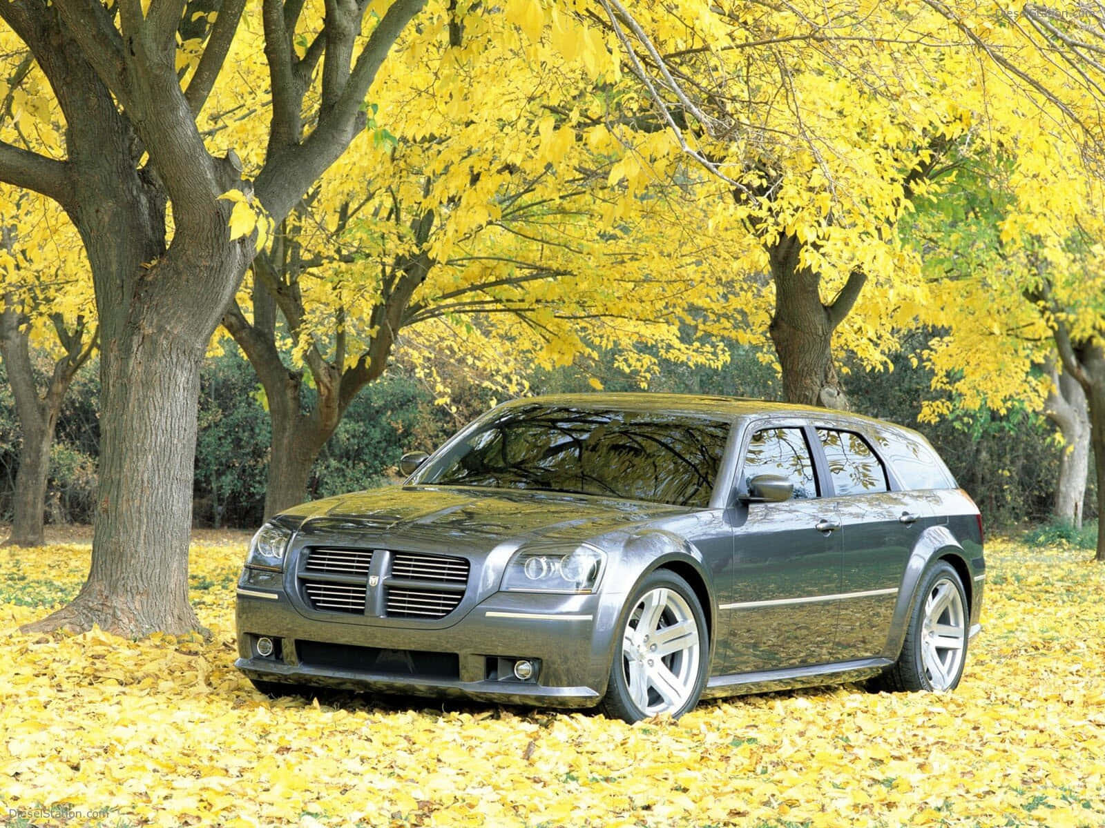 Dodge Magnum, night cityscape, sleek silver station wagon, HD Desktop Wallpaper