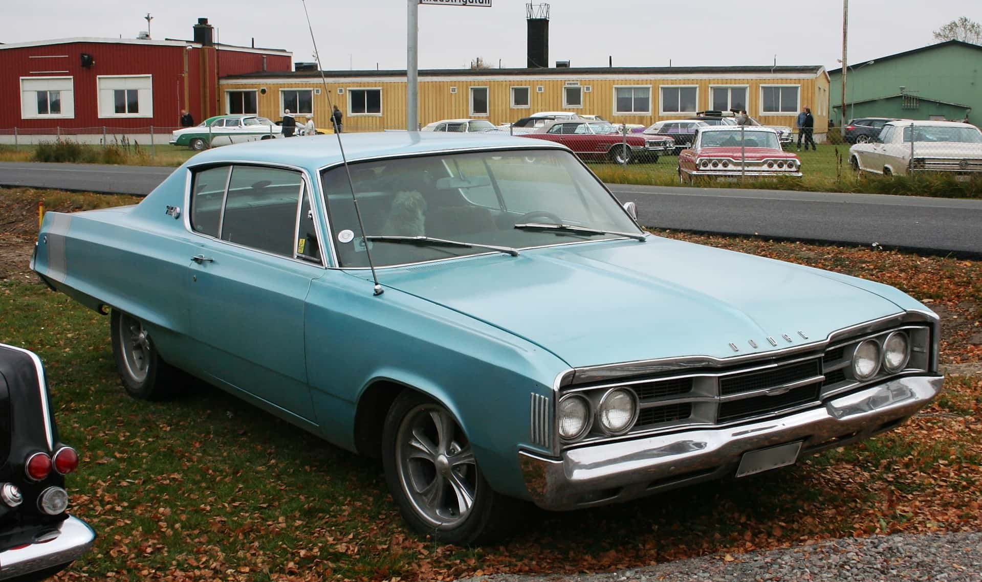 Dodge Polara, light blue, grass, HD Desktop Wallpaper