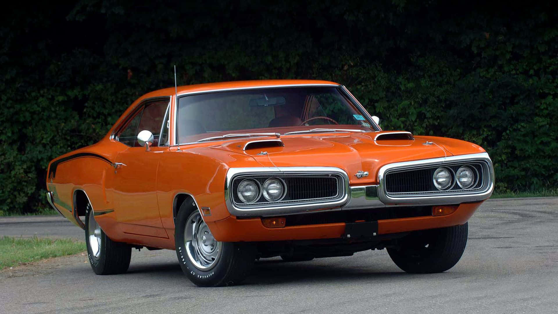 Dodge Super Bee, vibrant orange, chrome details, Full HD Desktop Wallpaper