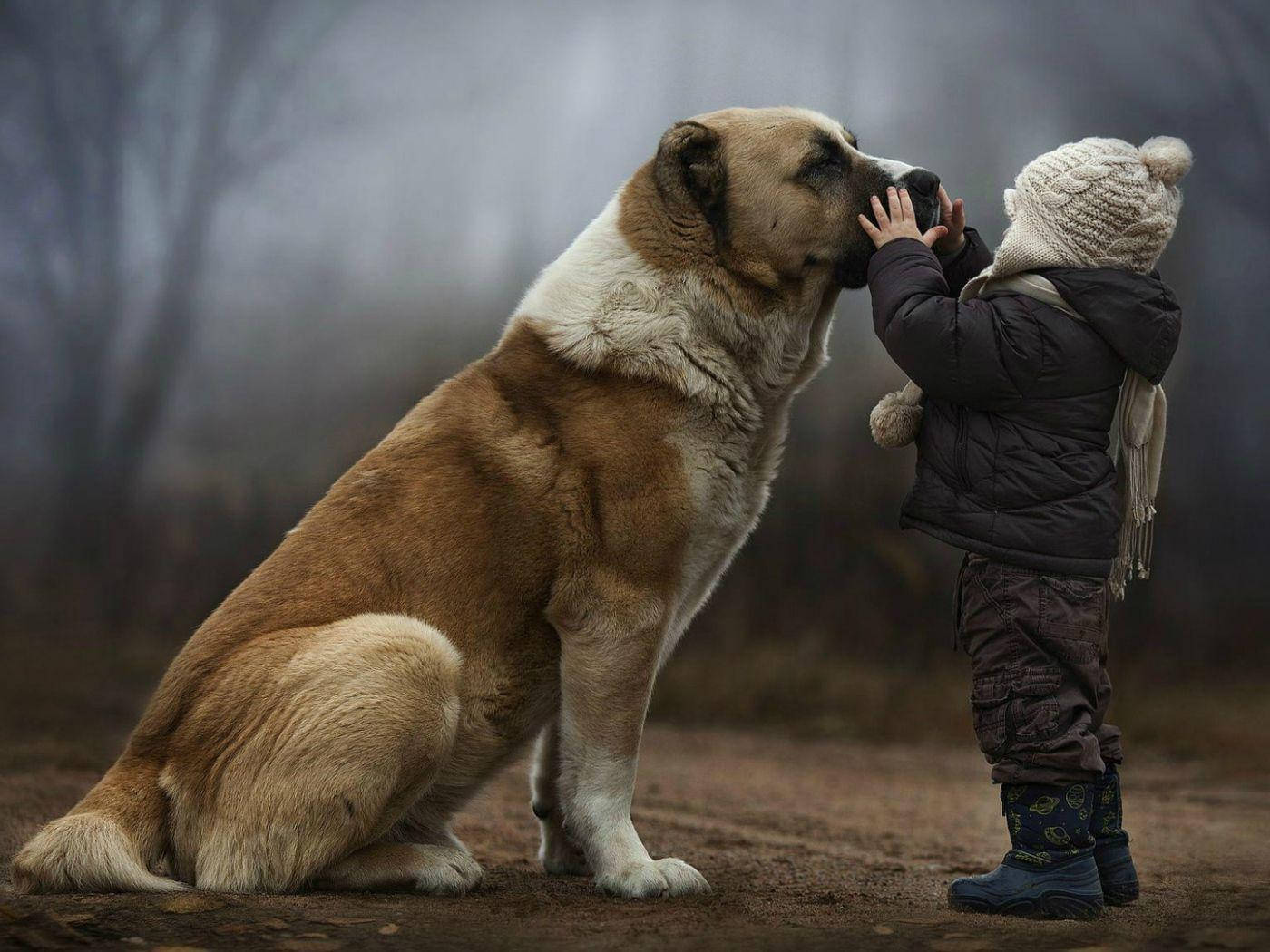 Big Dog With Kid, small child, winter gear, HD Desktop Wallpaper