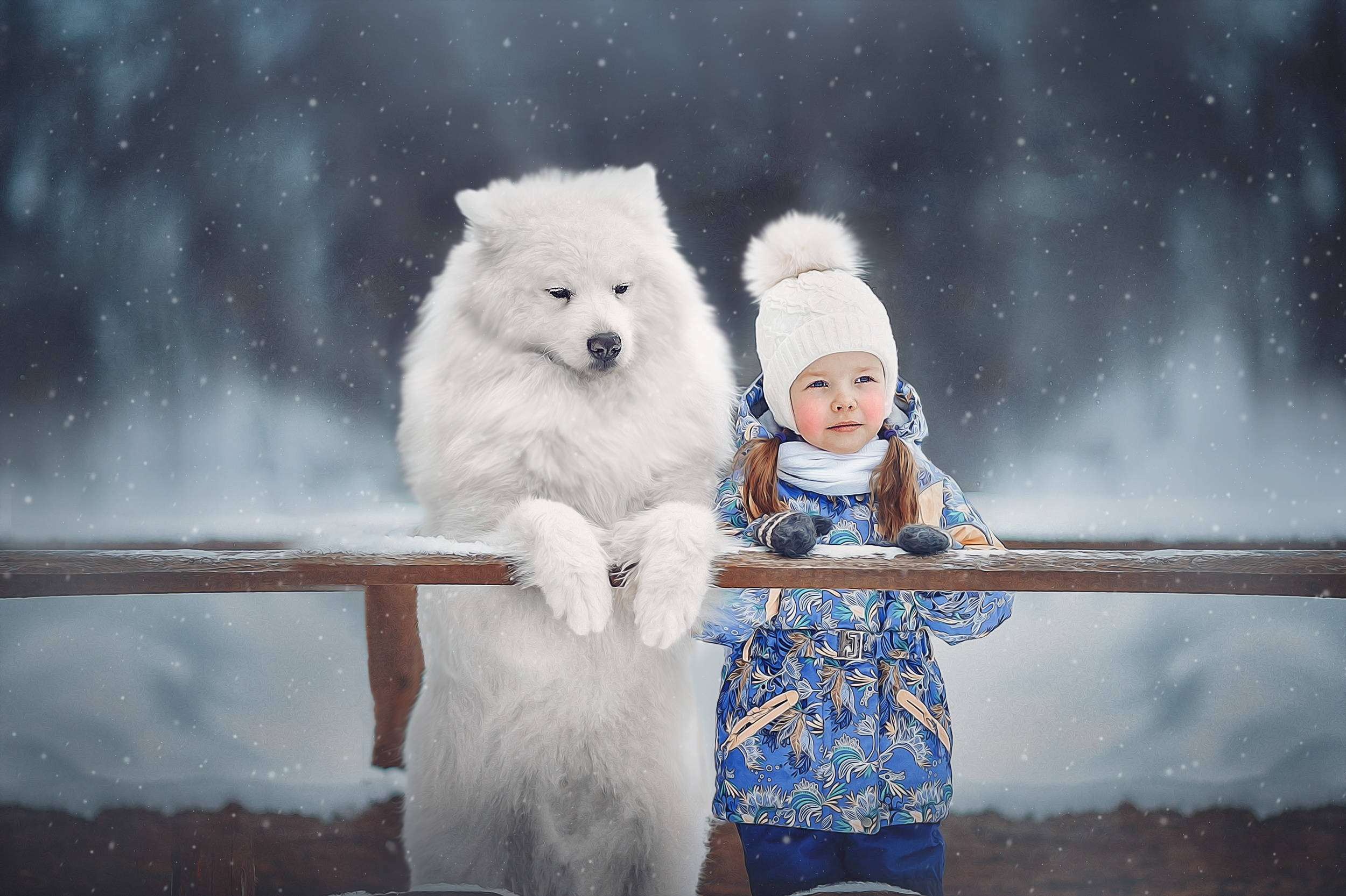 Dog And Girl, blue winter coat, white Samoyed dog, Full HD Desktop Wallpaper