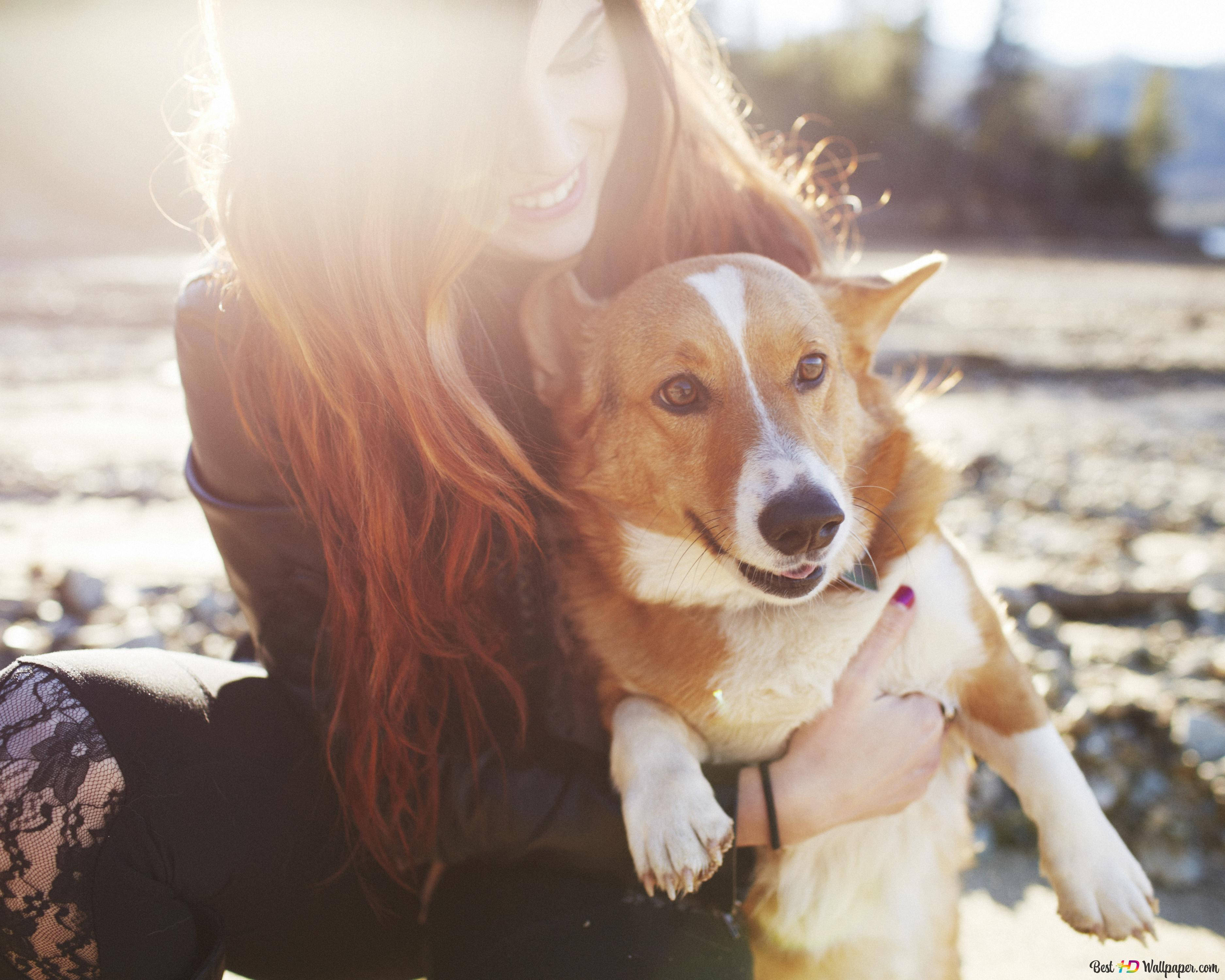 corgi dog, girl, long red hair, 2K Desktop Wallpaper