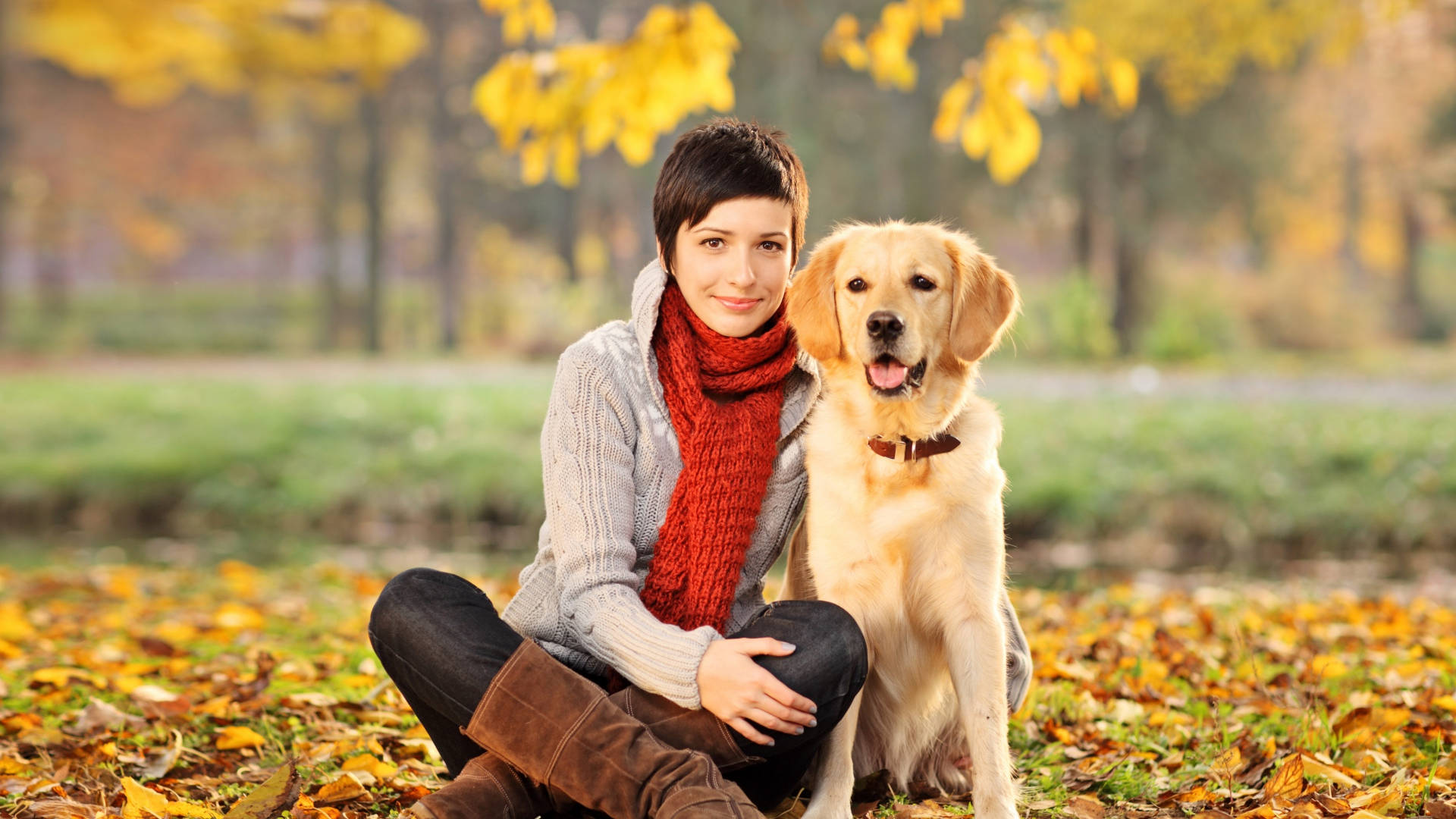 golden retriever, autumn park, fallen yellow leaves, Full HD Desktop Wallpaper