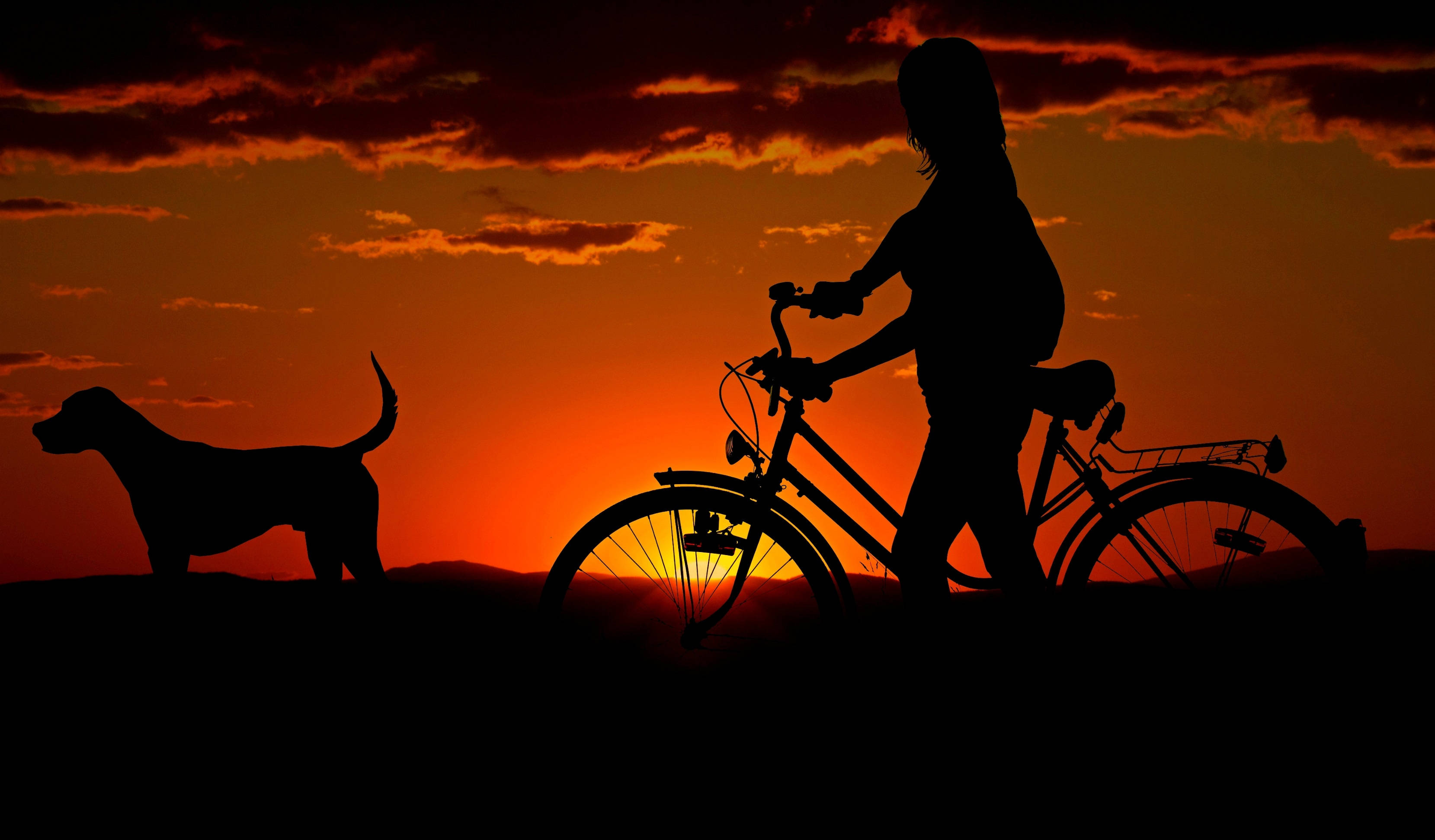 silhouette, dog and girl, bicycle, 2K Desktop Wallpaper