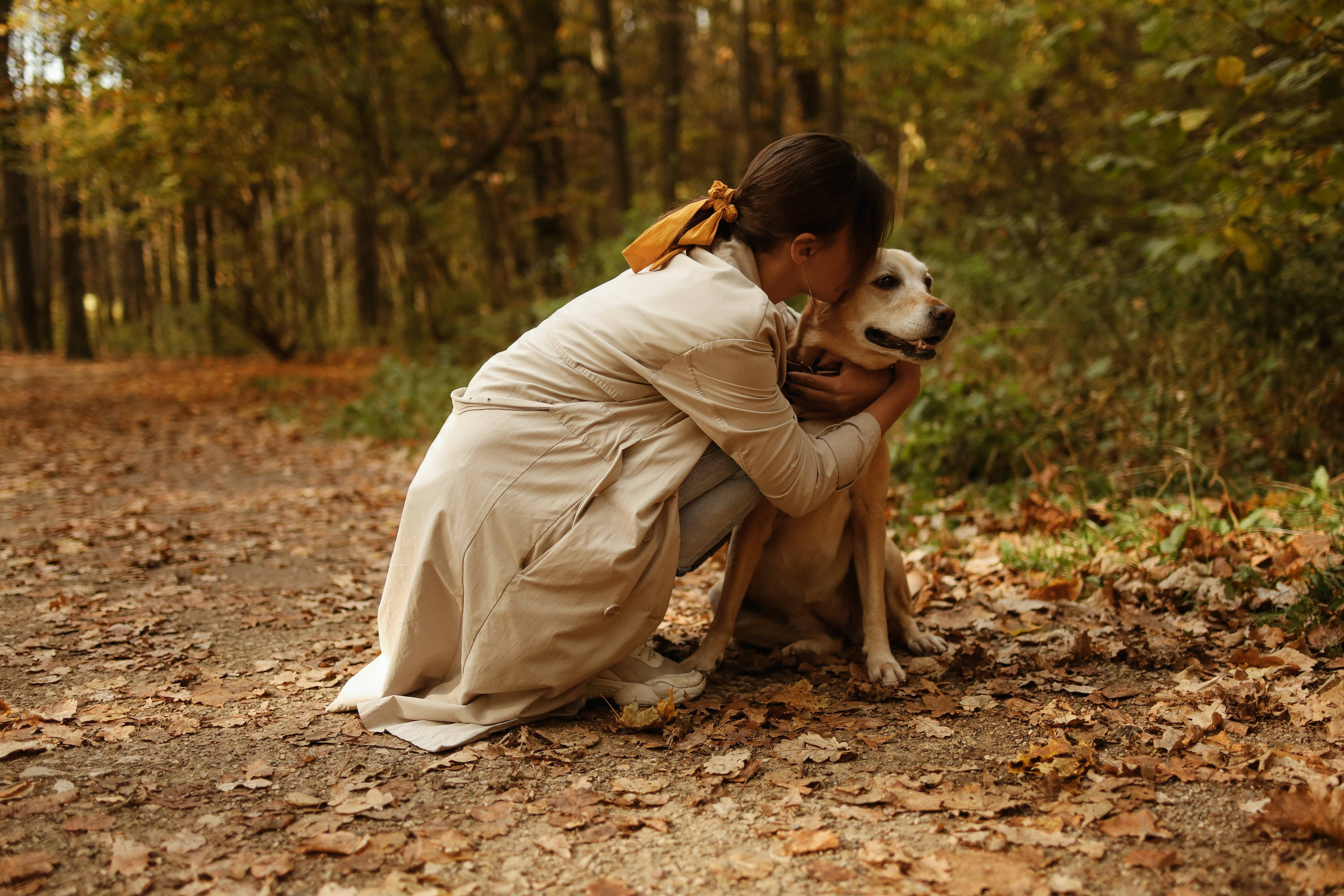 beige coat, forest path, light-colored dog, 2K Desktop Wallpaper