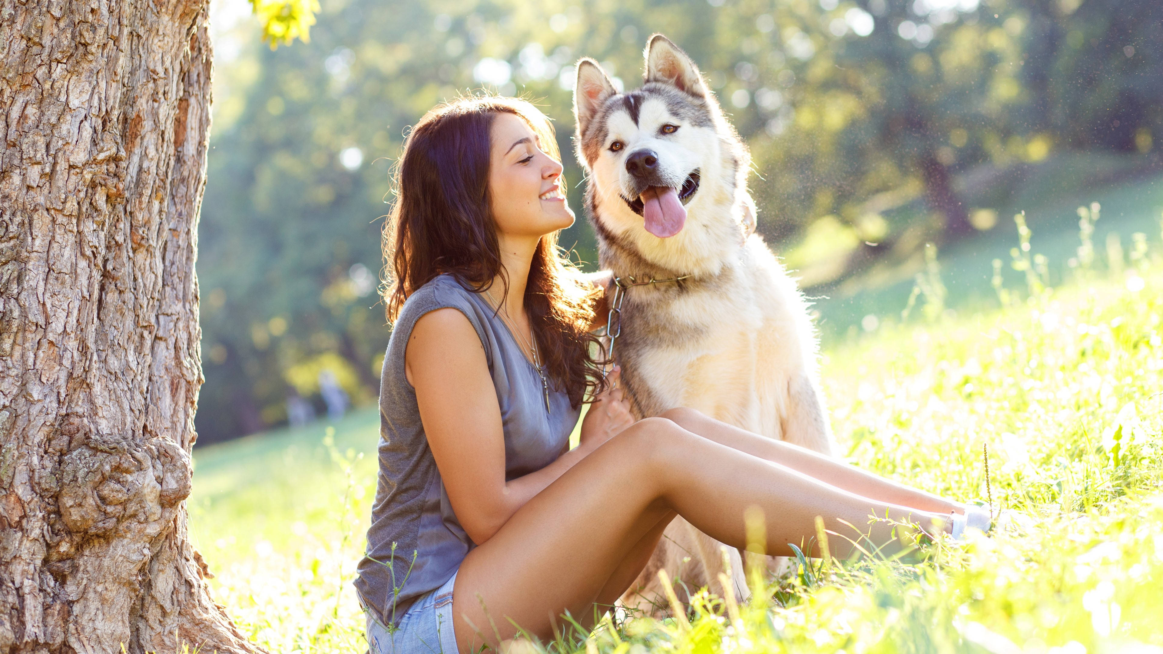 woman, happy husky dog, sunlit grassy field, 4K Desktop Wallpaper