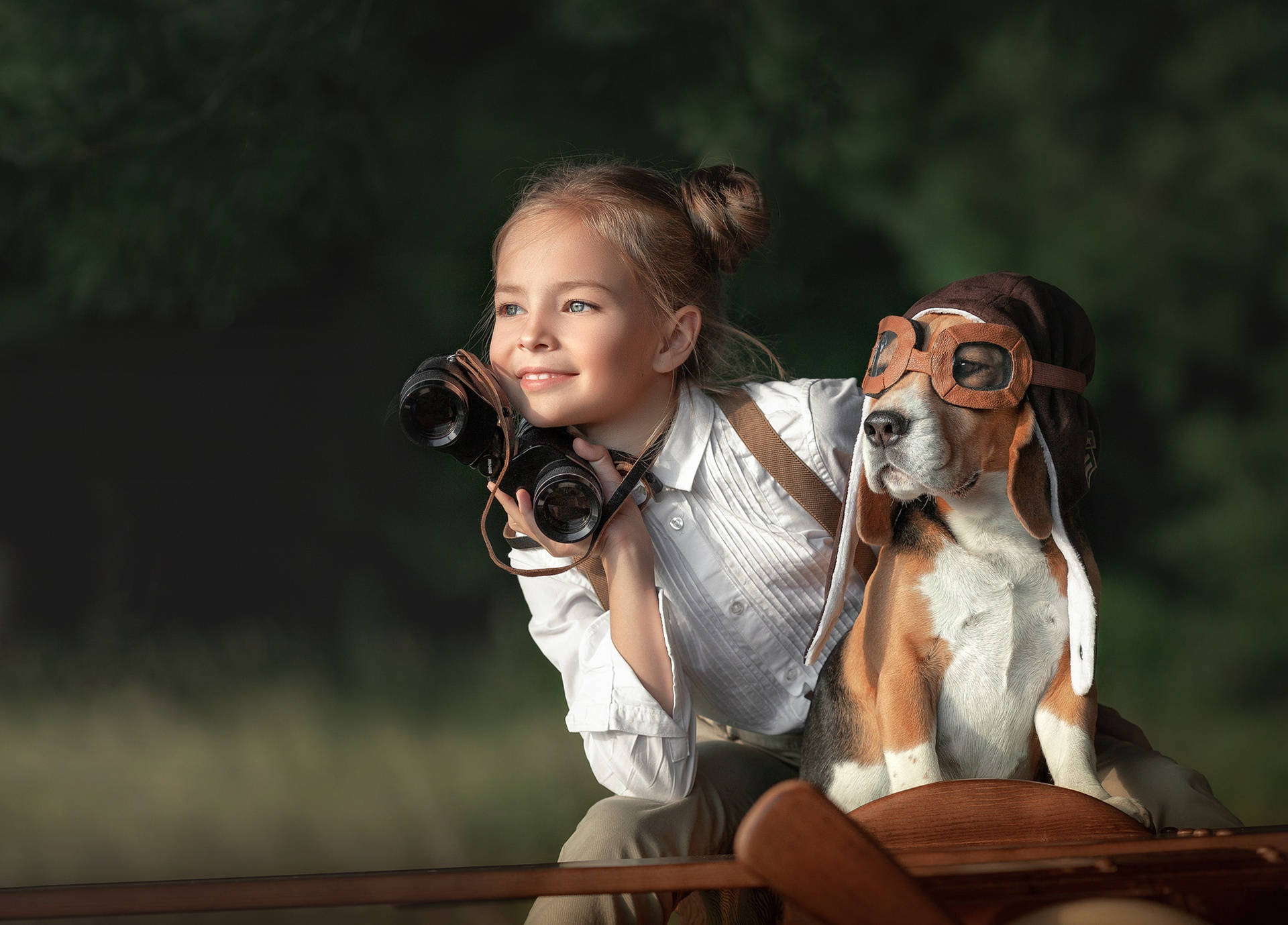 beagle dog, aviator goggles, binoculars, Full HD Desktop Wallpaper