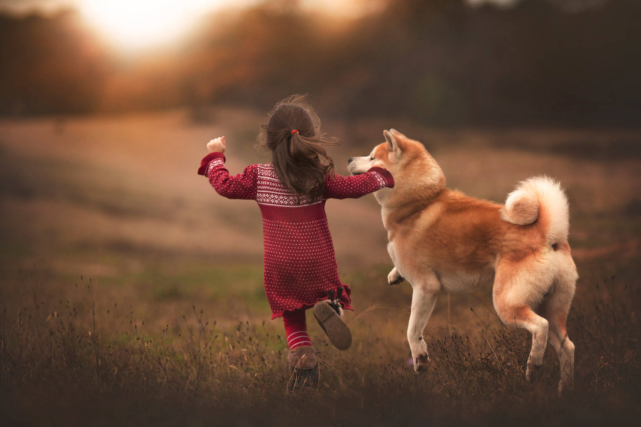 Akita dog, little girl, red dress, Full HD Desktop Wallpaper