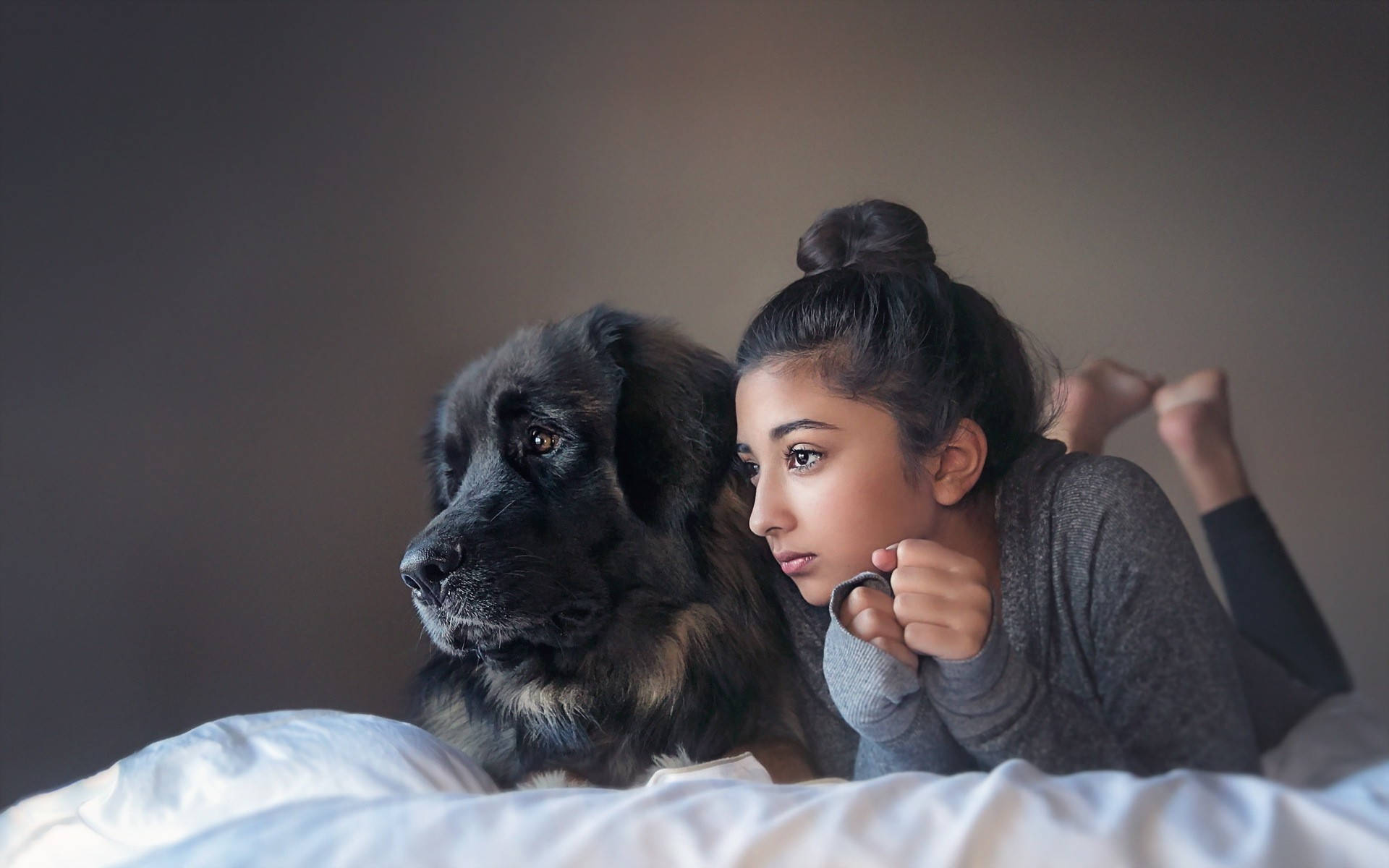 Dog And Girl, large fluffy black dog, bed, Full HD Desktop Wallpaper