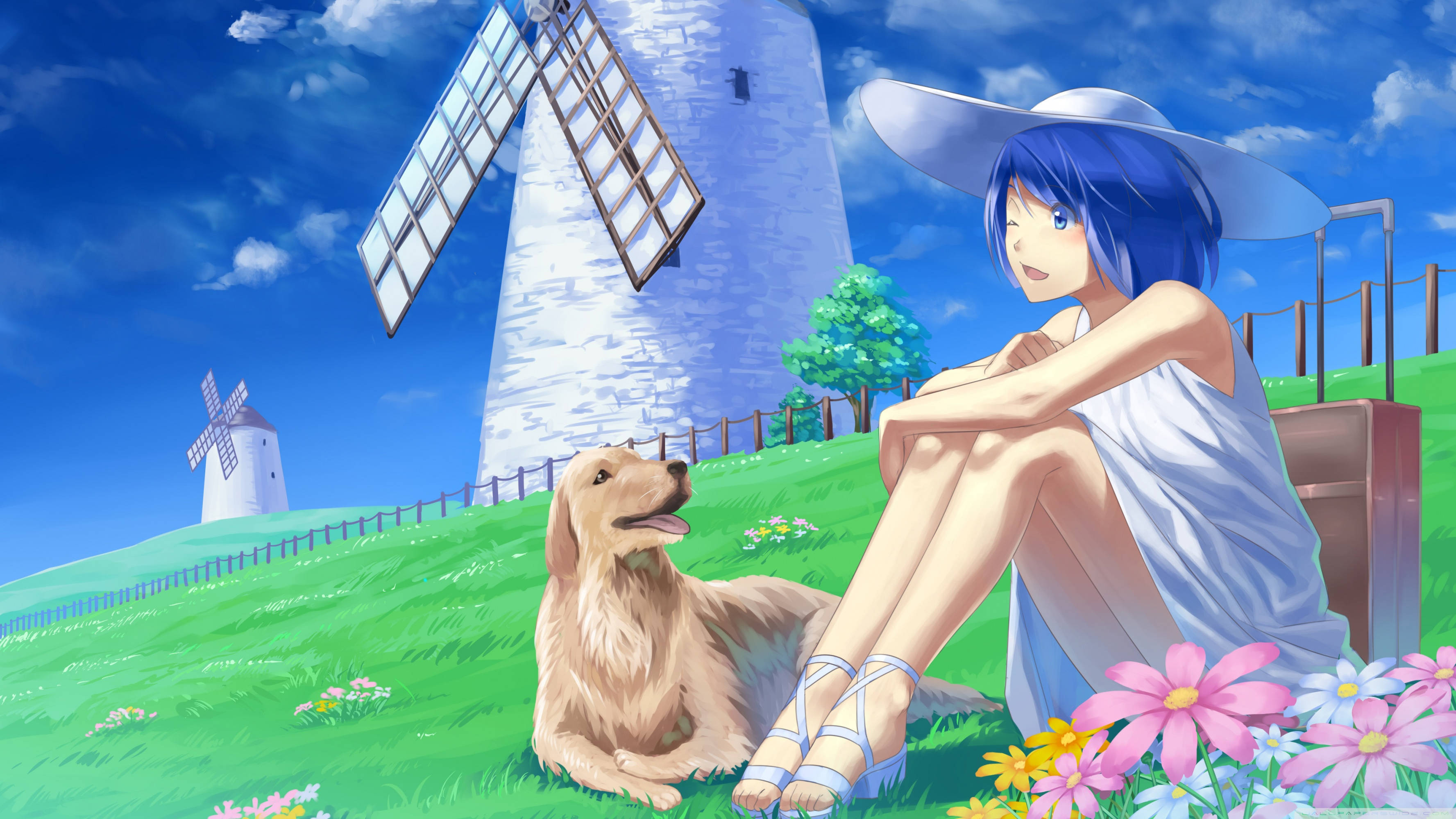 blue-haired anime girl, golden retriever, sunlit grassy hill, 2K Desktop Wallpaper