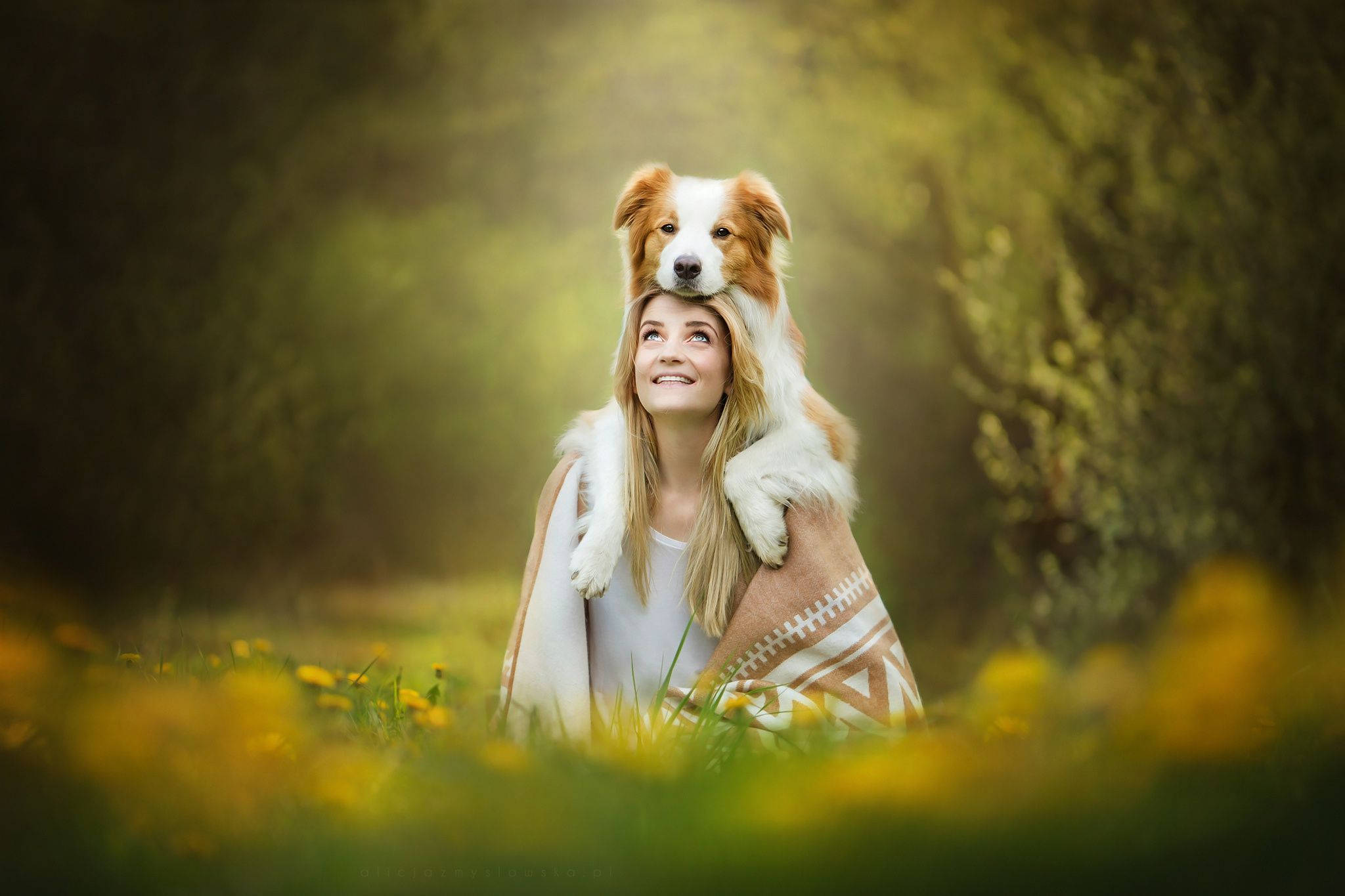 Dog And Girl, sunny day, patterned blanket, Full HD Desktop Wallpaper