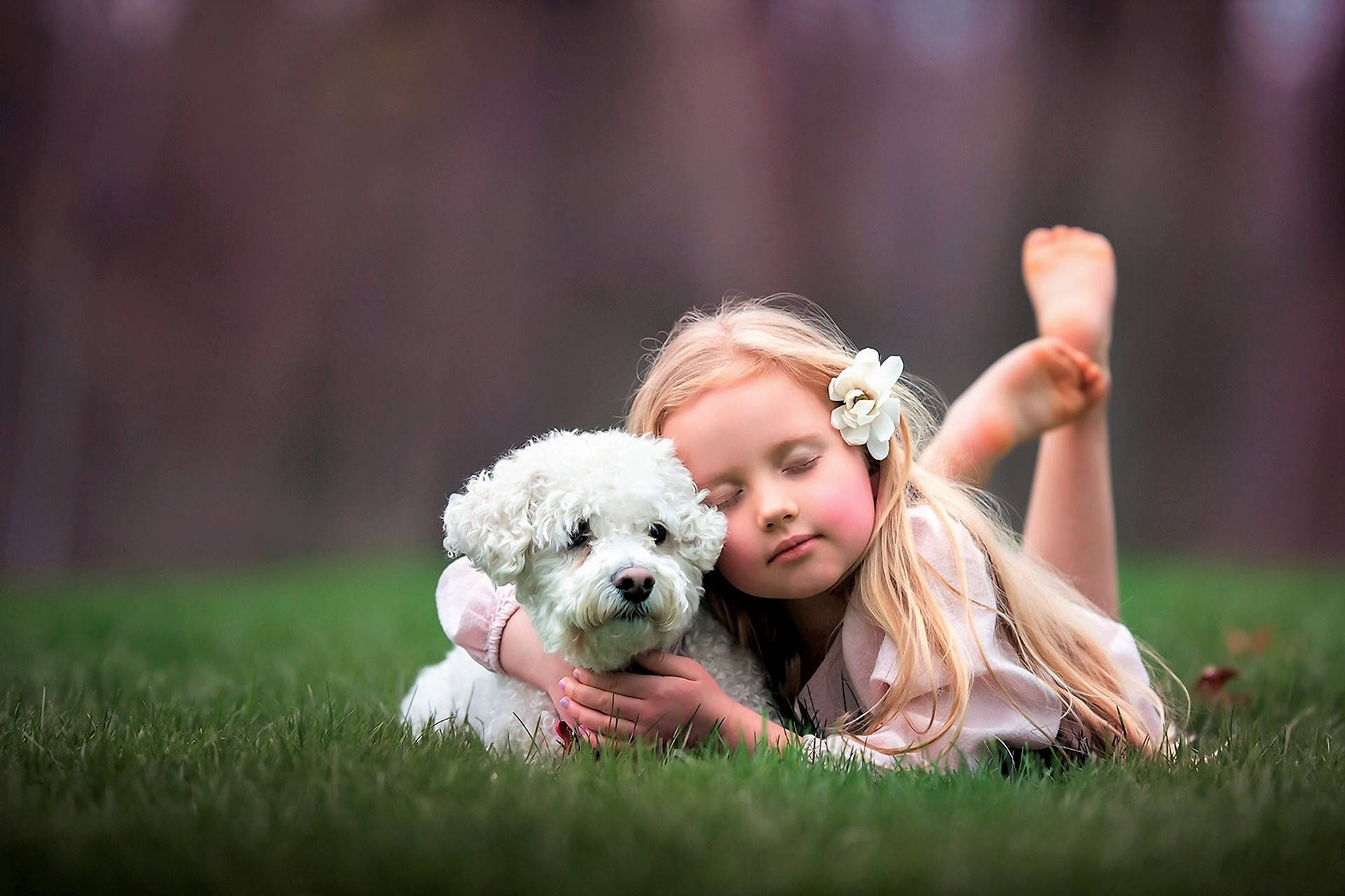 blonde girl, pink dress, fluffy white puppy, Full HD Desktop Wallpaper