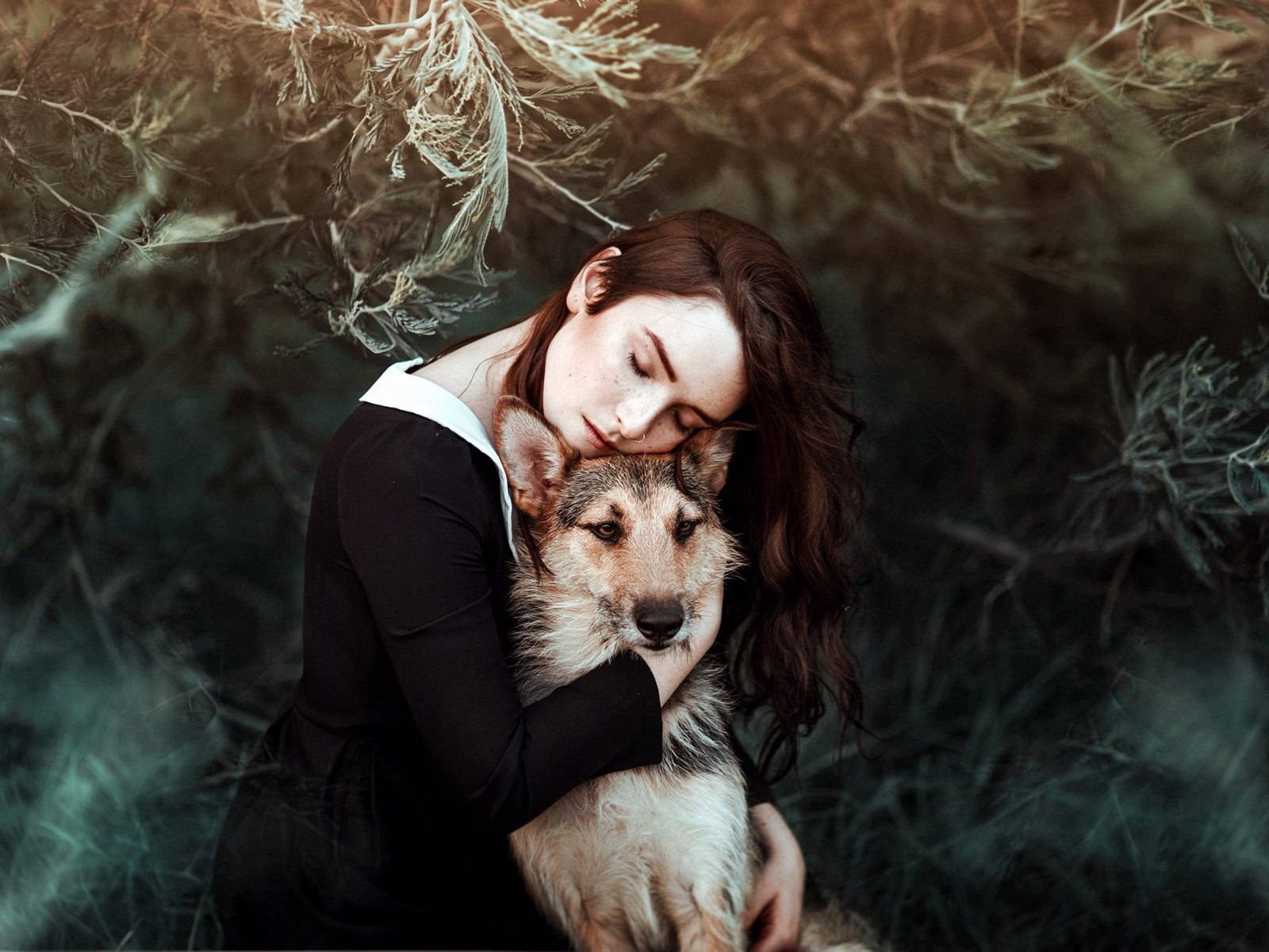 dog, girl, misty foliage, HD Desktop Wallpaper
