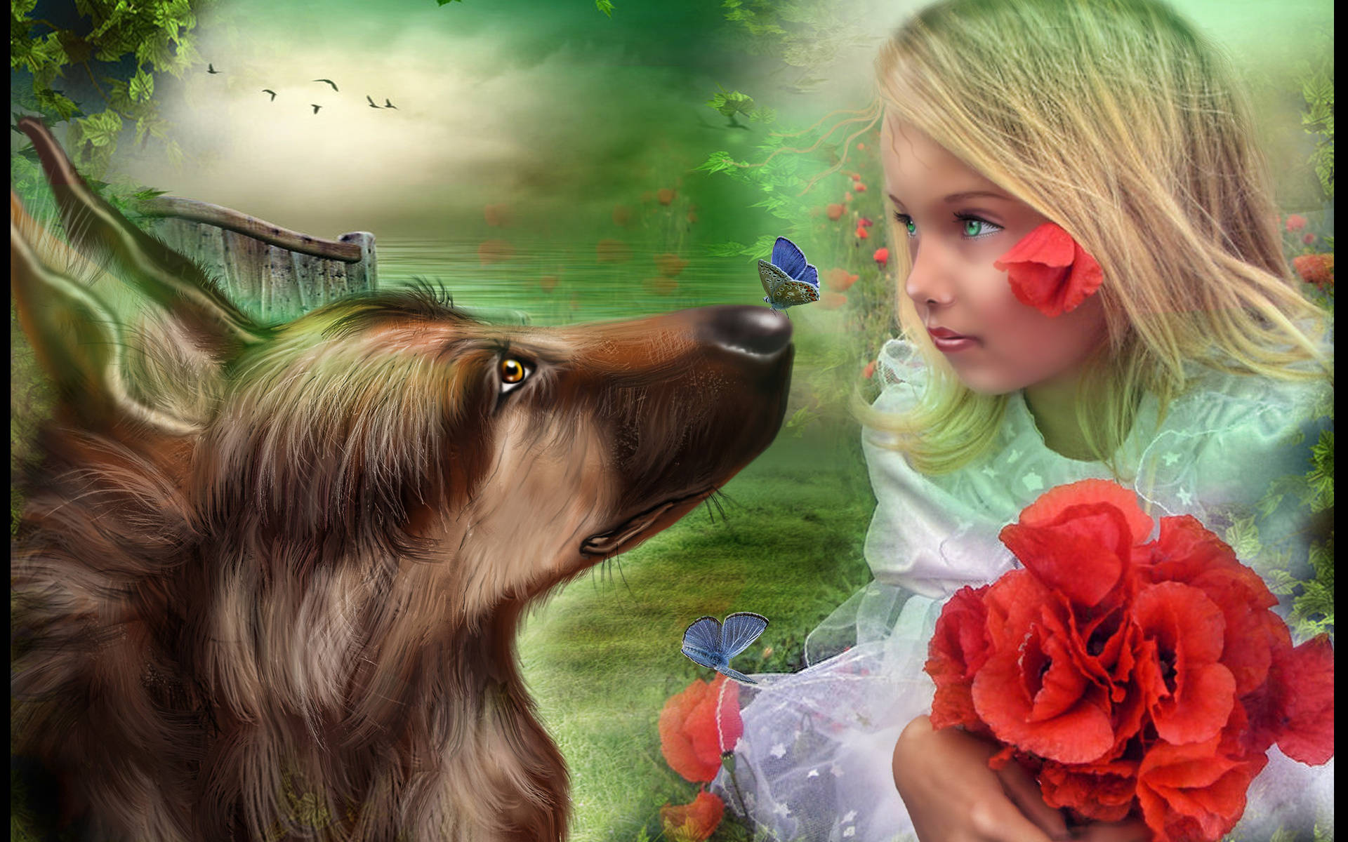 red rose, long-haired dog, butterflies, Full HD Desktop Wallpaper