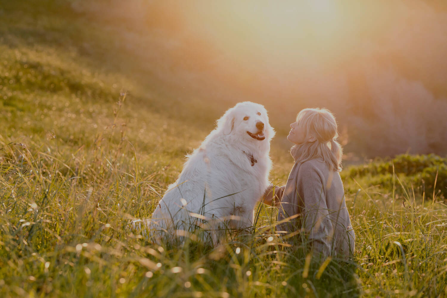 Dog And Girl, sunset view, golden sunset light, HD Desktop Wallpaper