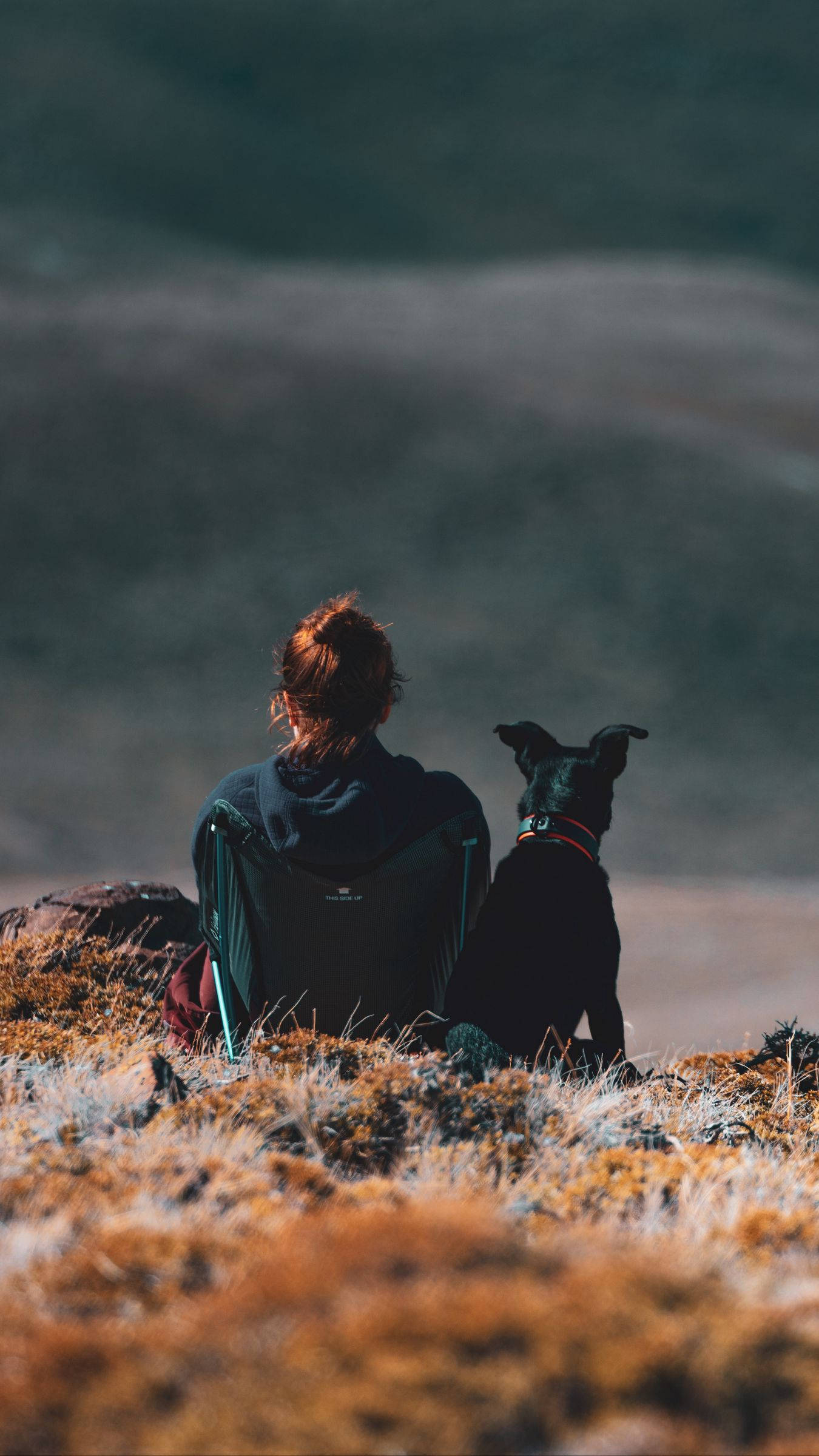 Day Light Road Dog And Girl, black dog, grassy hill, Full HD Phone Wallpaper