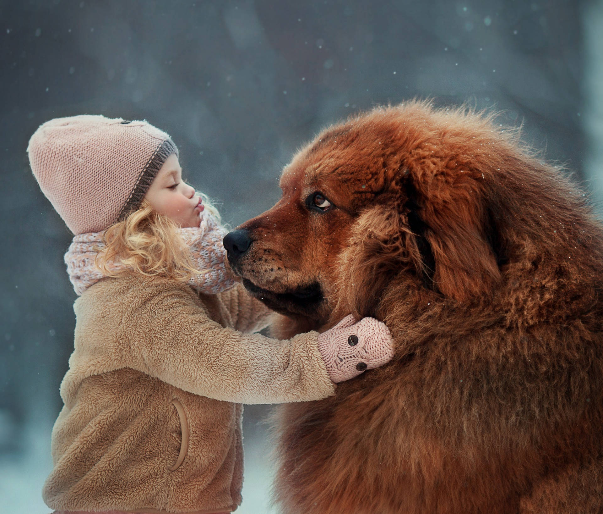 cute girl, big brown dog, winter gear, Full HD Desktop Wallpaper