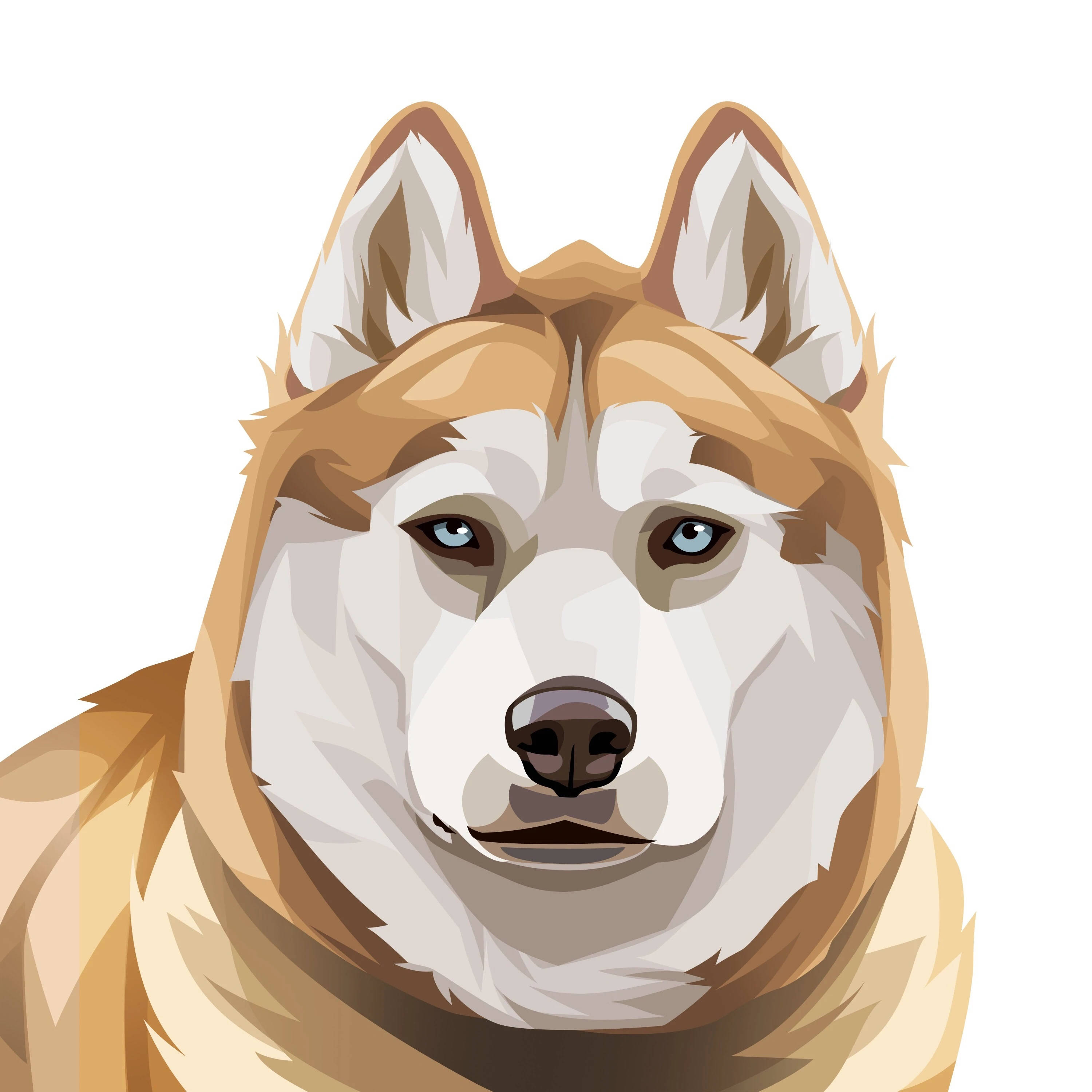 ginger husky, piercing blue eyes, tan and white fur, 2K Desktop Wallpaper