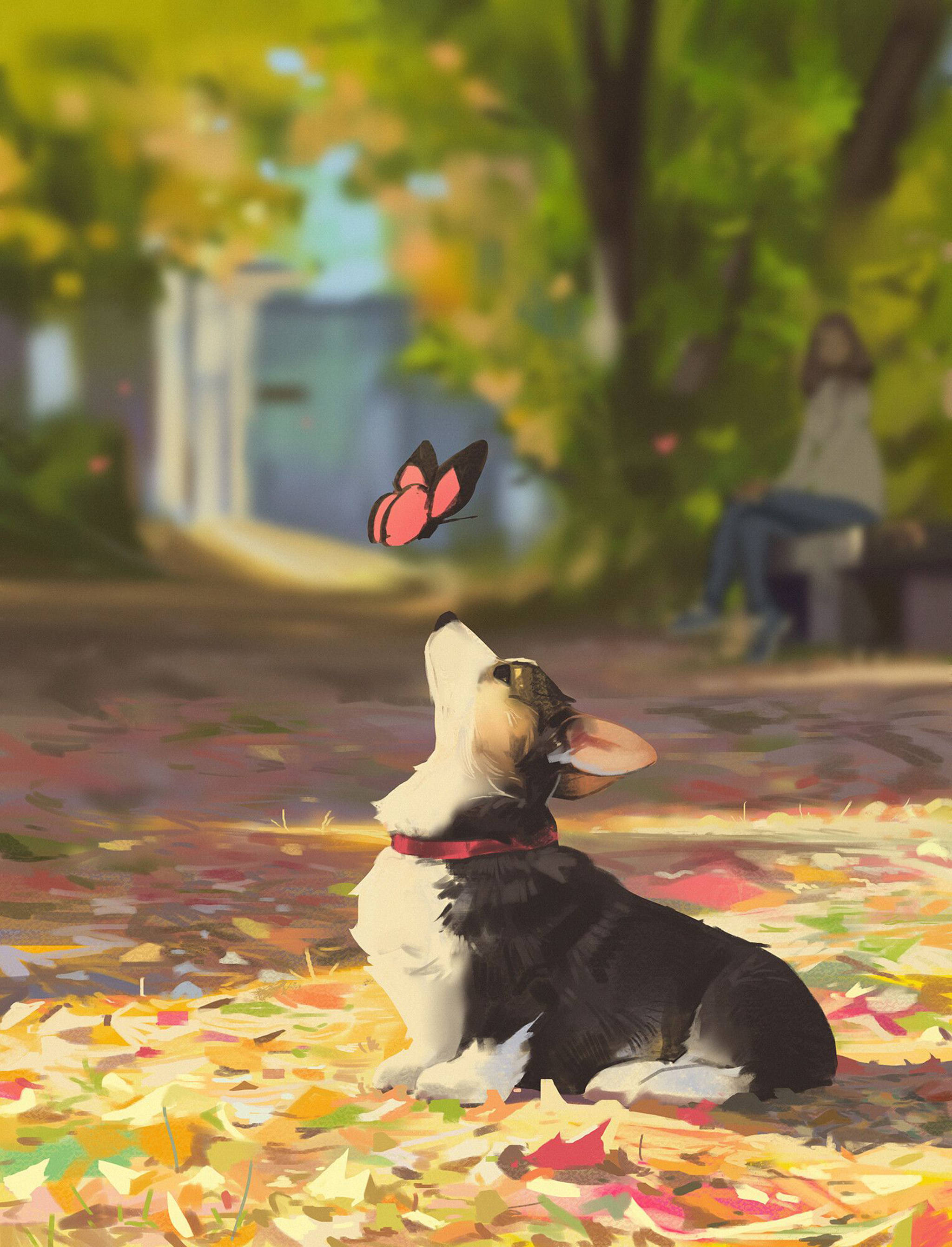 corgi puppy, pink and black butterfly, autumn leaves, 2K Phone Wallpaper