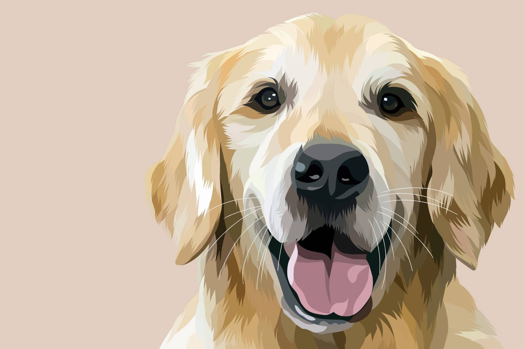 golden retriever, floppy ears, pink tongue, Full HD Desktop Wallpaper