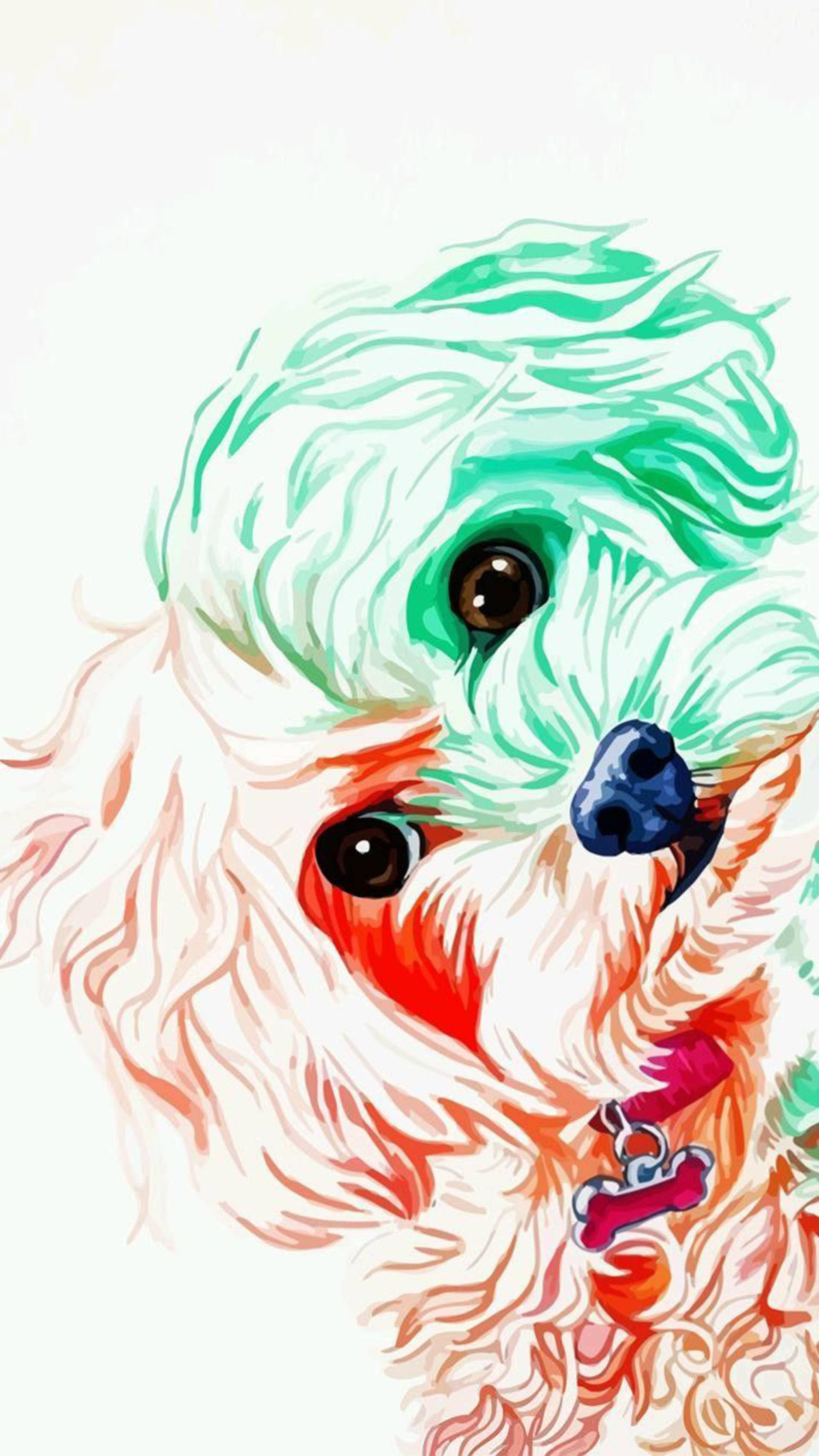 Bichon Frise, teal, coral, 2K Phone Wallpaper