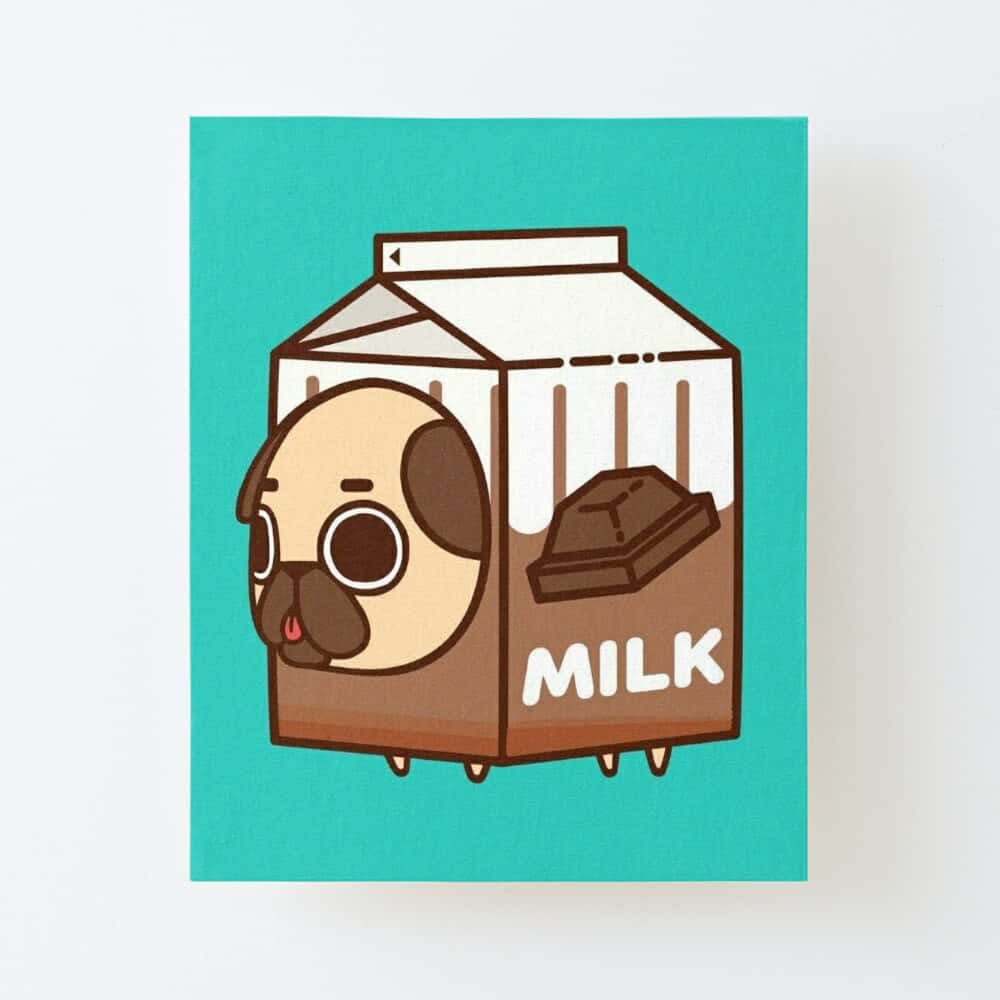 cute pug, chocolate milk carton, teal background, SD Desktop Wallpaper