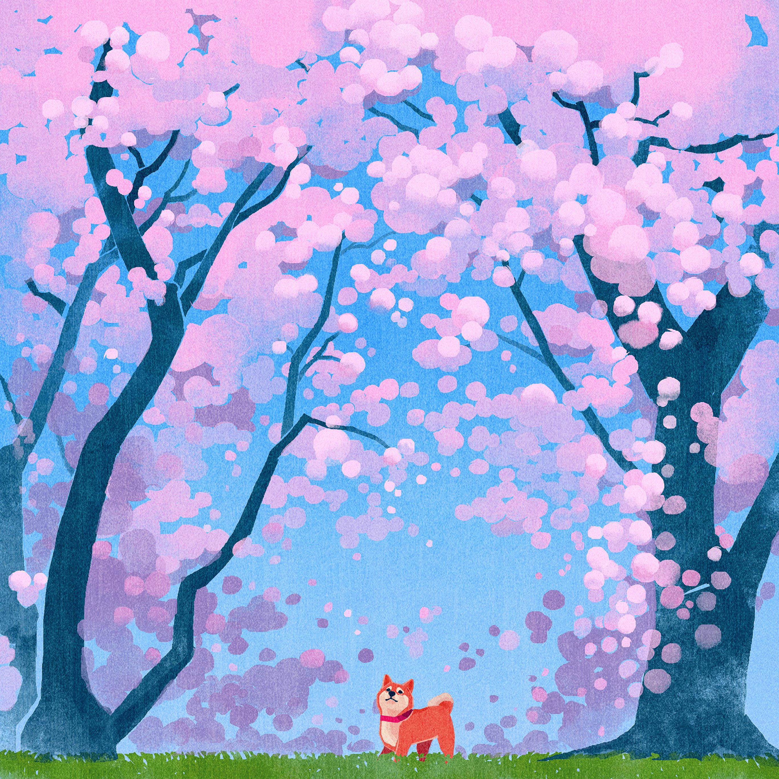 orange dog, pink cherry blossoms, soft blue sky, 2K Desktop Wallpaper