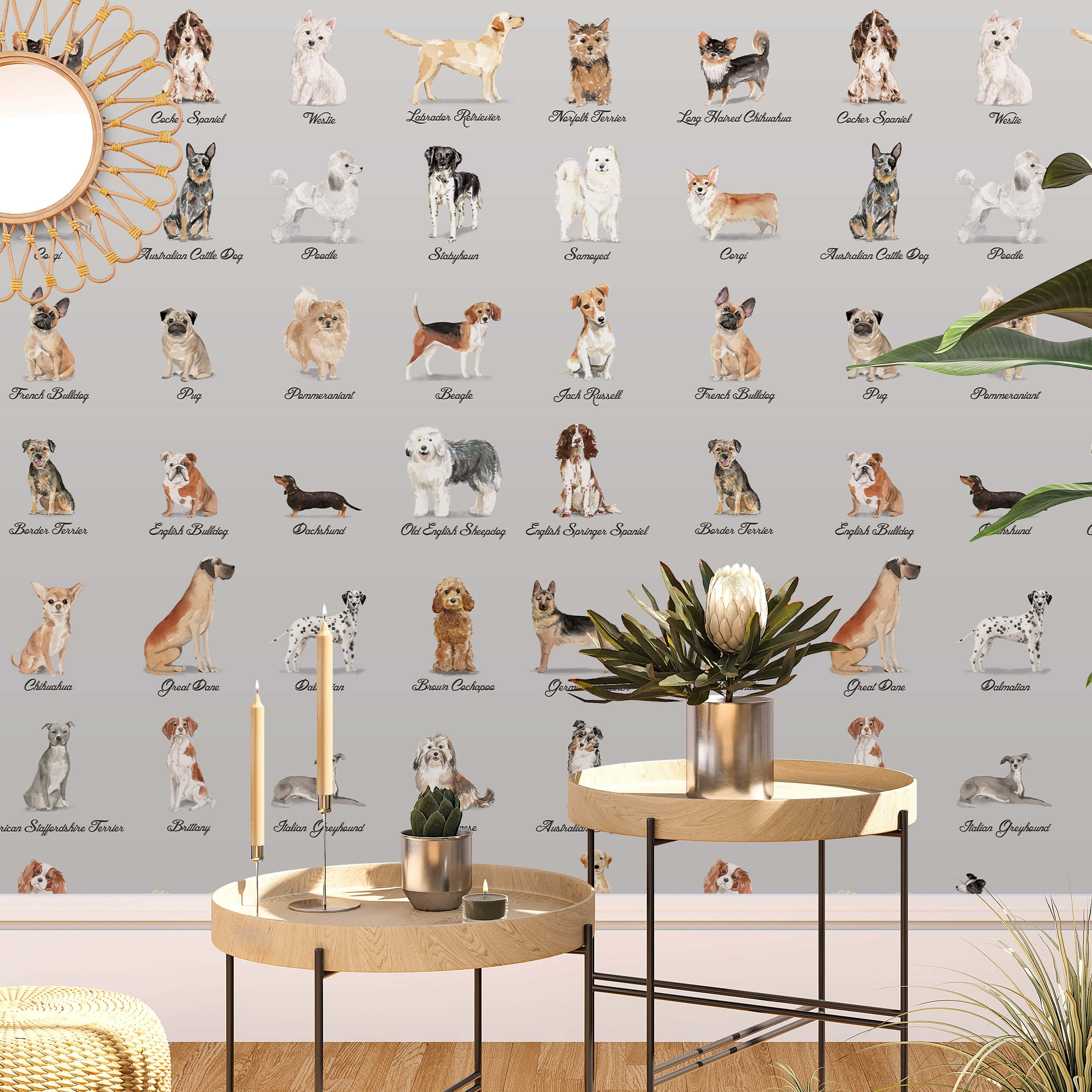 labeled dog breeds table, grid of illustrated dog breeds, modern room, 2K Desktop Wallpaper
