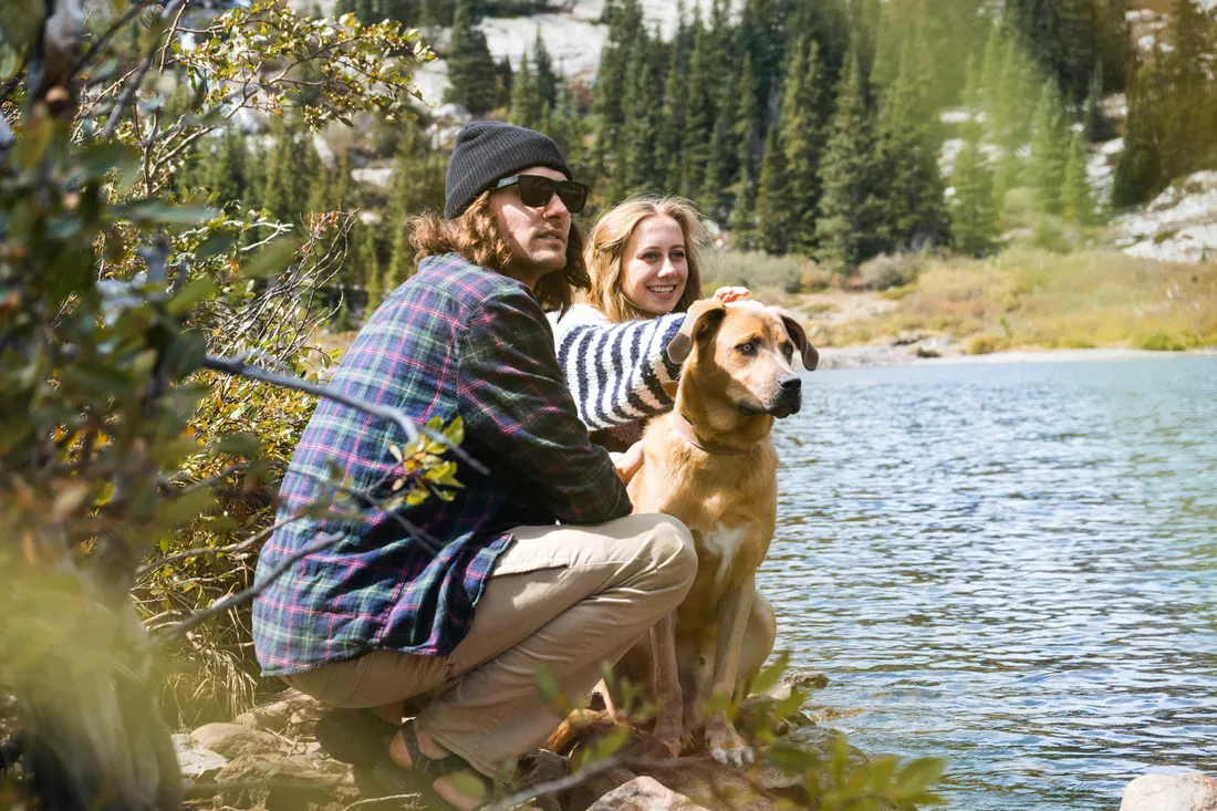 Dog Family