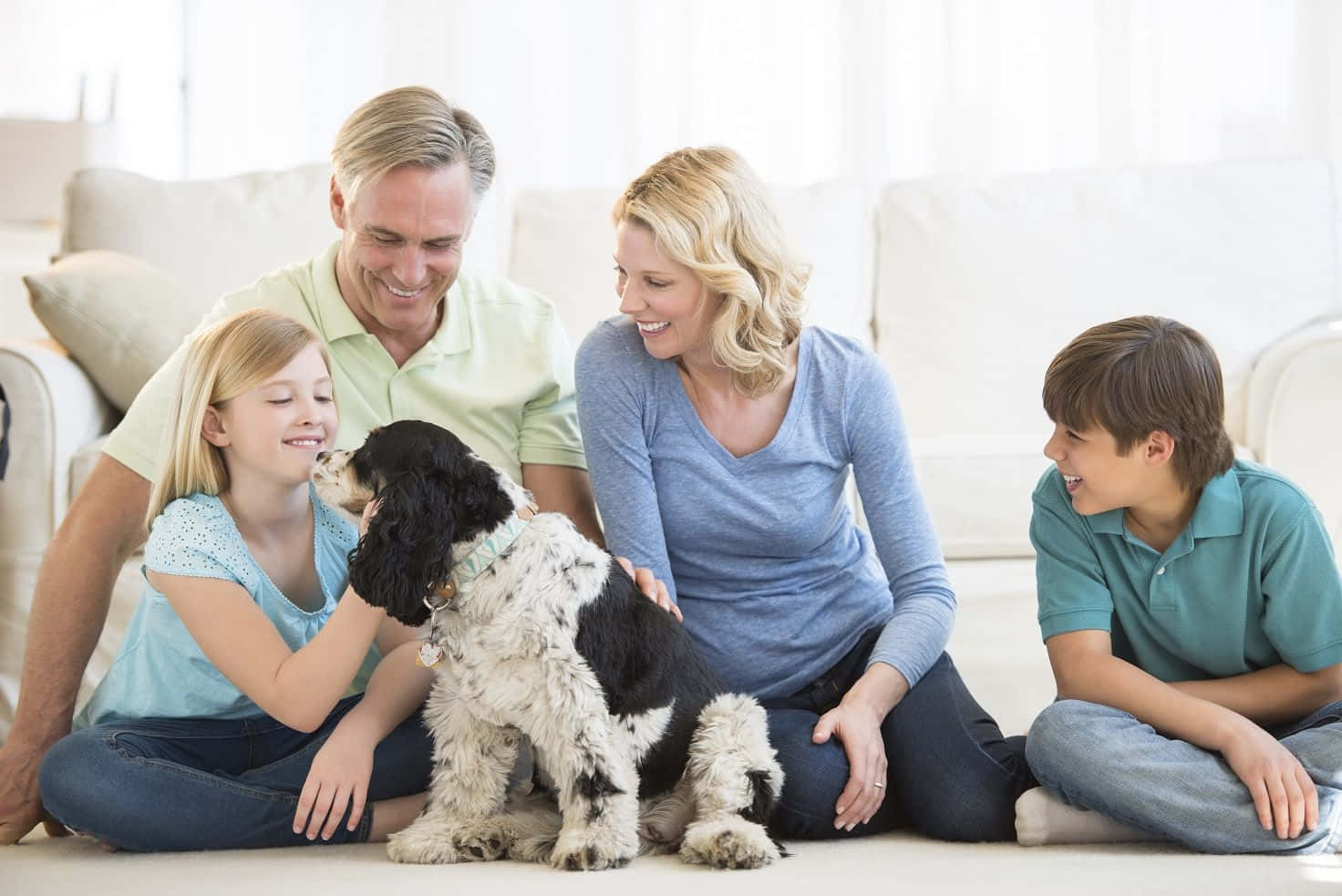 Dog Family, black and white dog, light-colored floor, HD Desktop Wallpaper