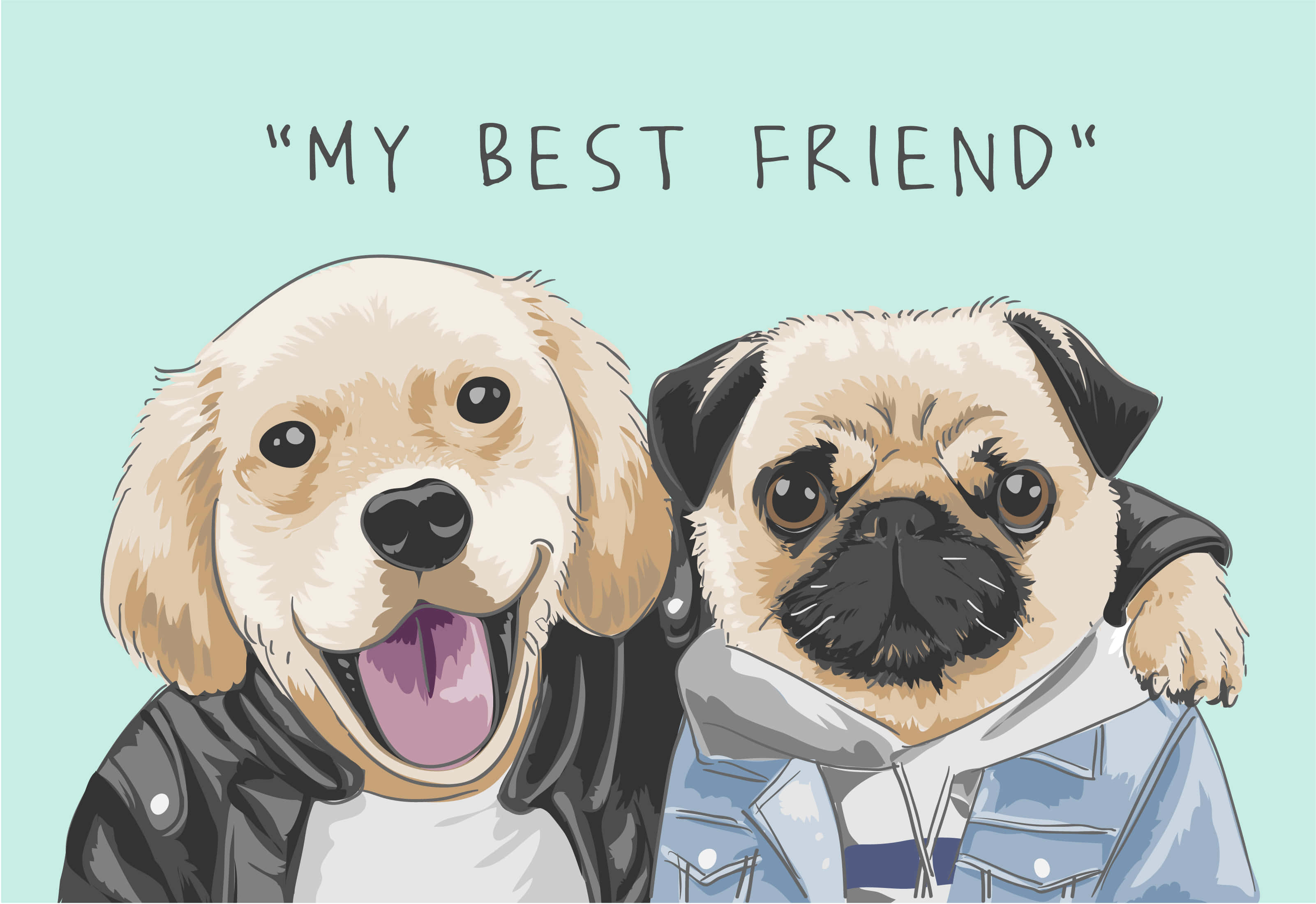 golden retriever, pug, jackets, 2K Desktop Wallpaper