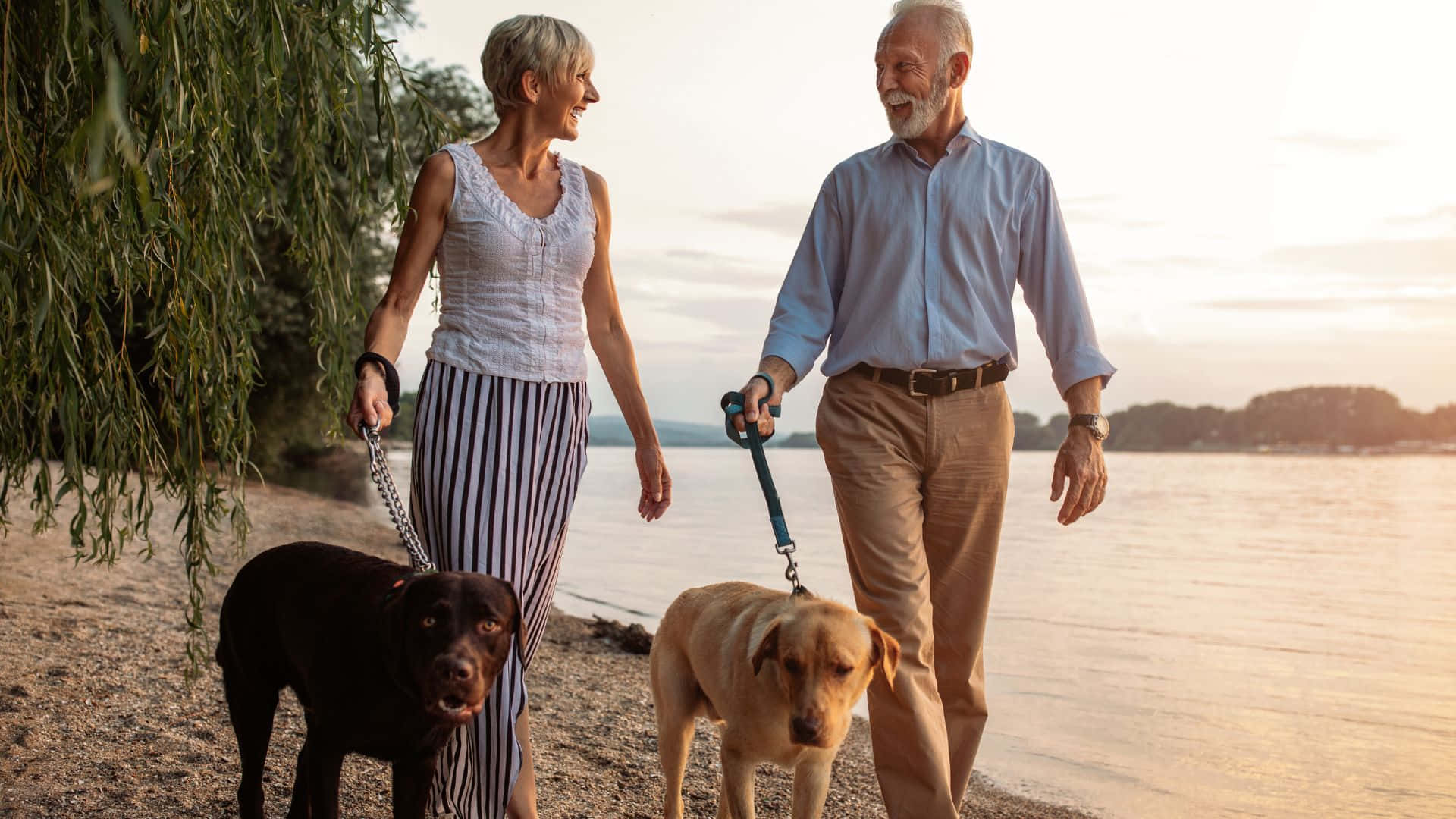 elderly couple, two dogs, lakeshore, Full HD Desktop Wallpaper