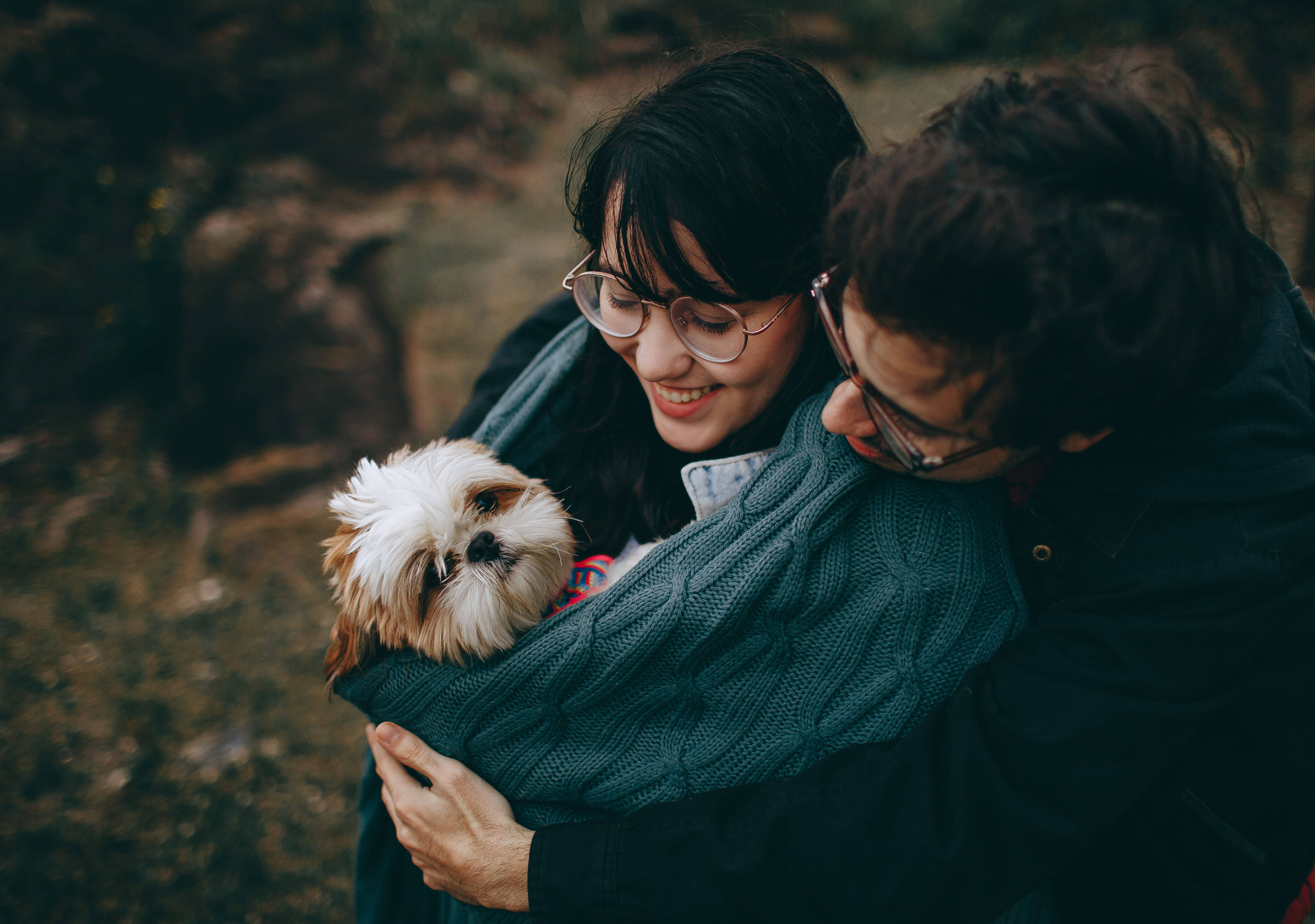 couple, small fluffy dog, cozy outdoor setting, 5K Desktop Wallpaper
