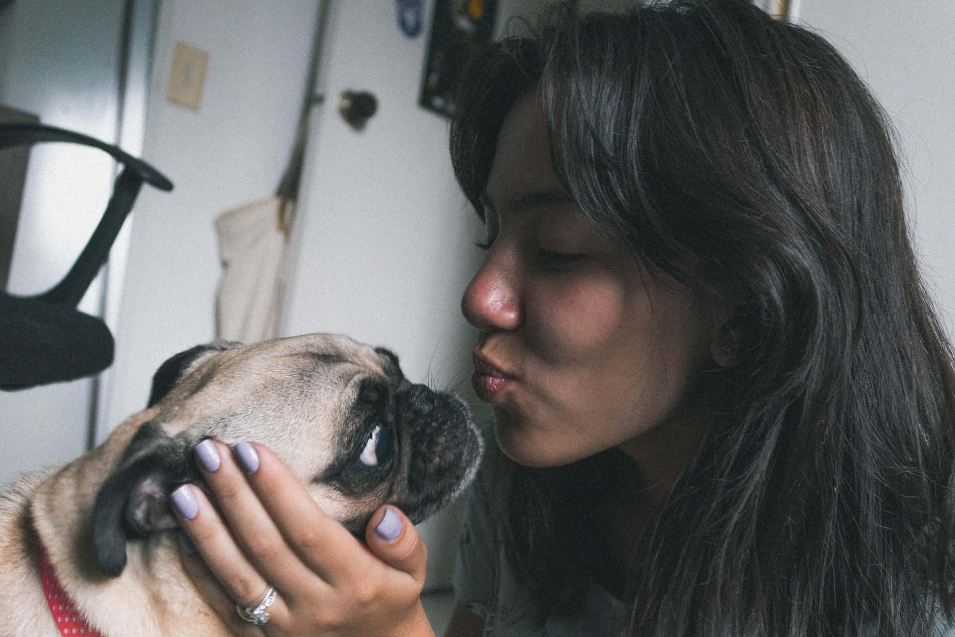 pug, woman, forehead, Full HD Desktop Wallpaper