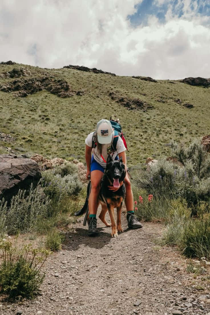 hiker, dog, rocky trail, SD Phone Wallpaper