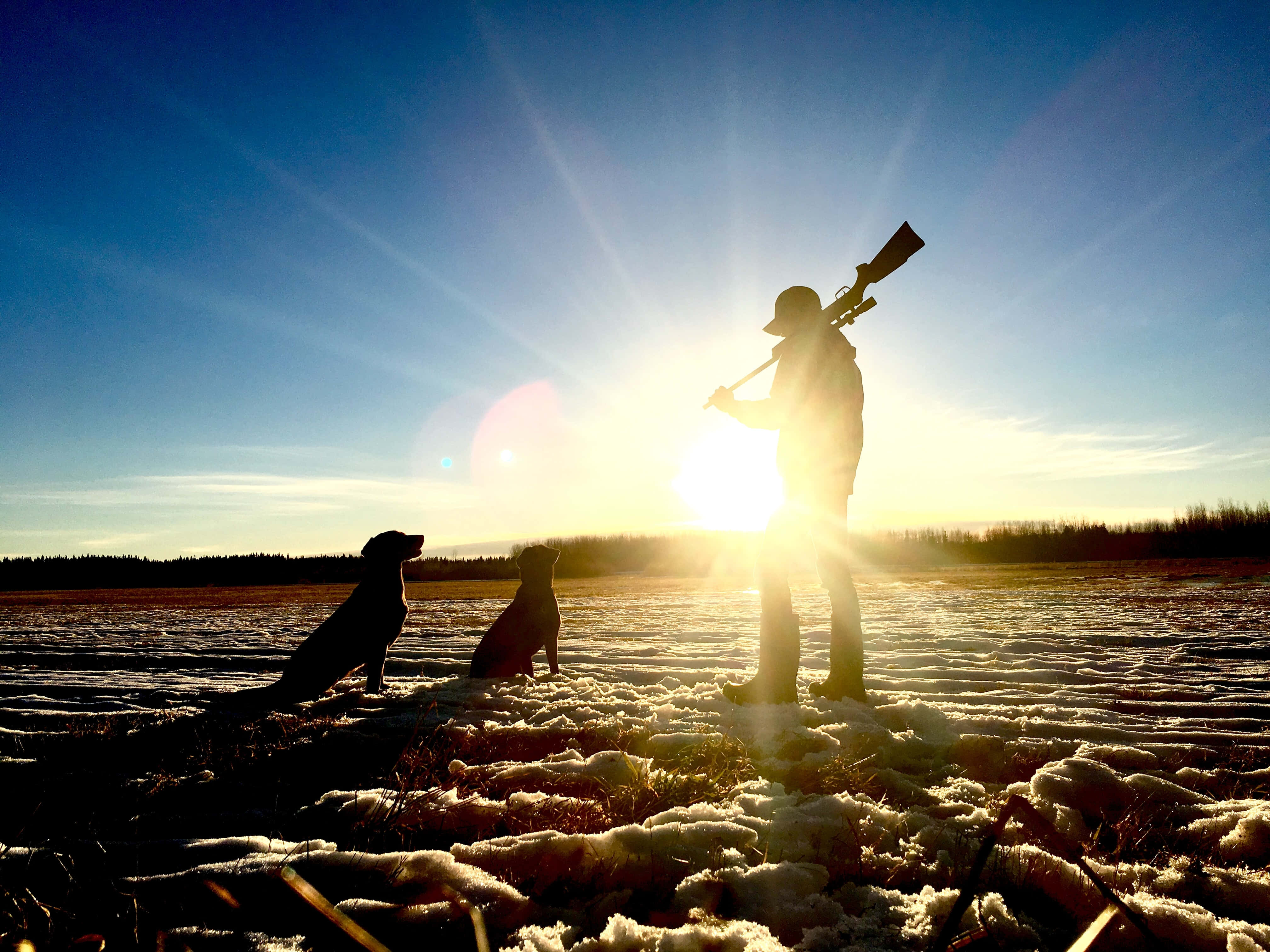 hunting desktop, sunrise, snowy field, 4K Desktop Wallpaper