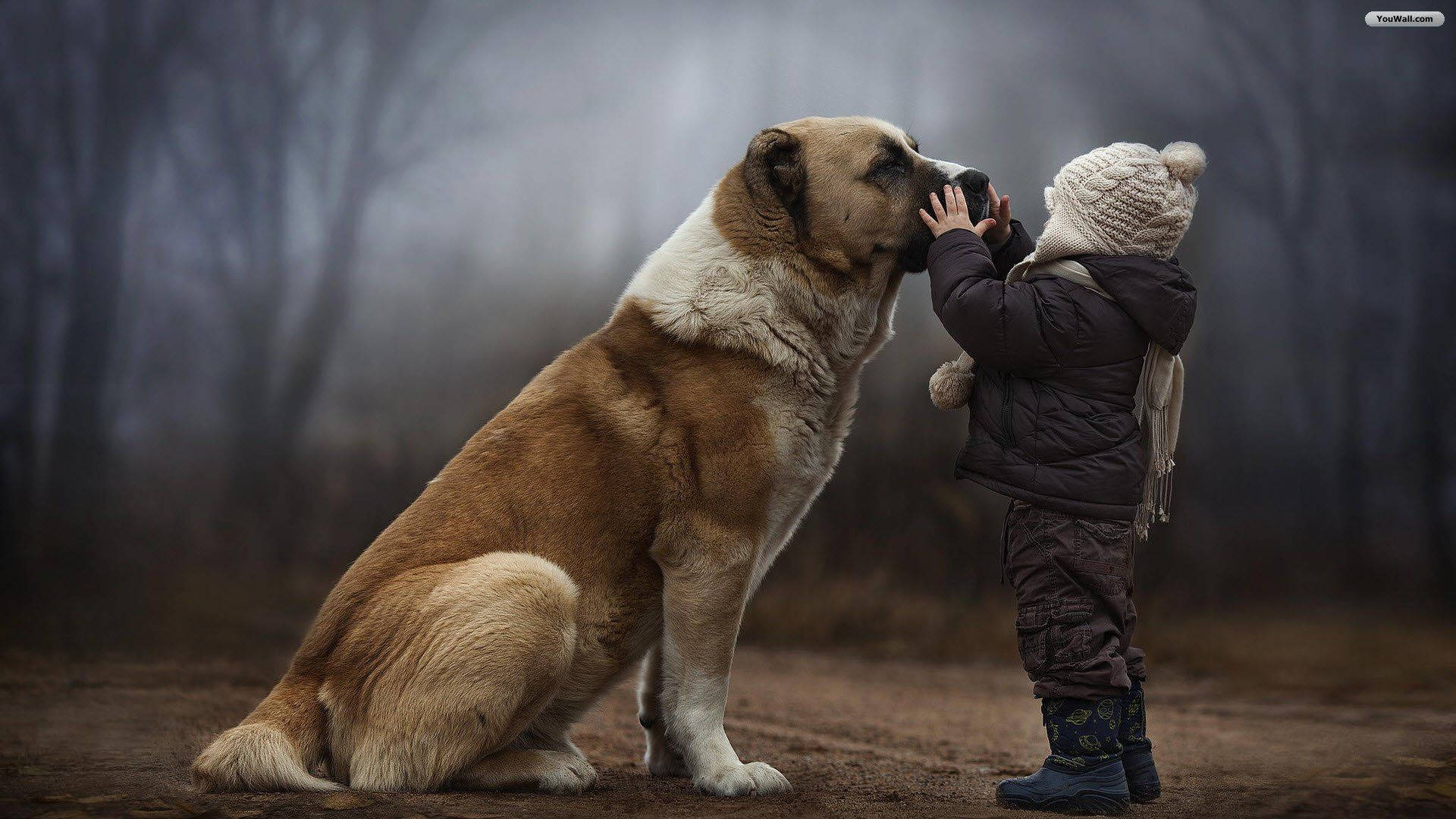 little boy, big dog, winter gear, Full HD Desktop Wallpaper