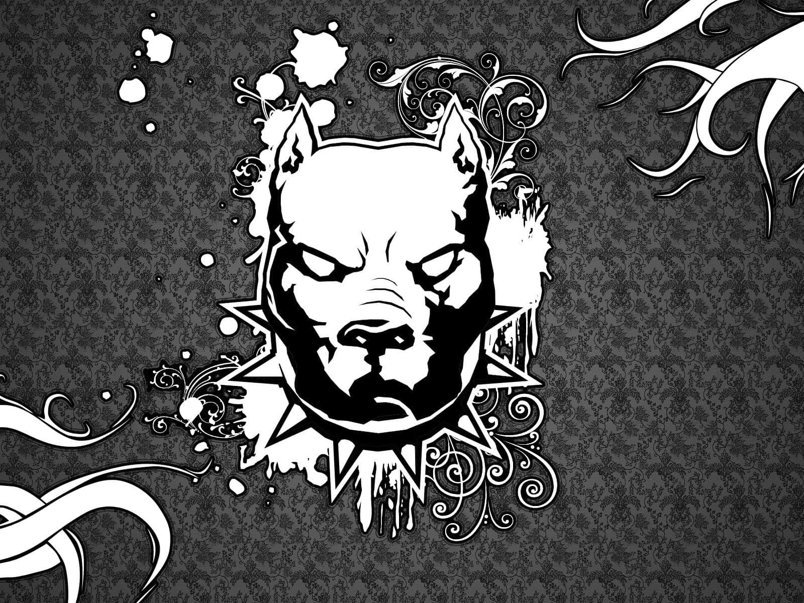 black pitbull, wolf collar, black and white illustration, HD Desktop Wallpaper