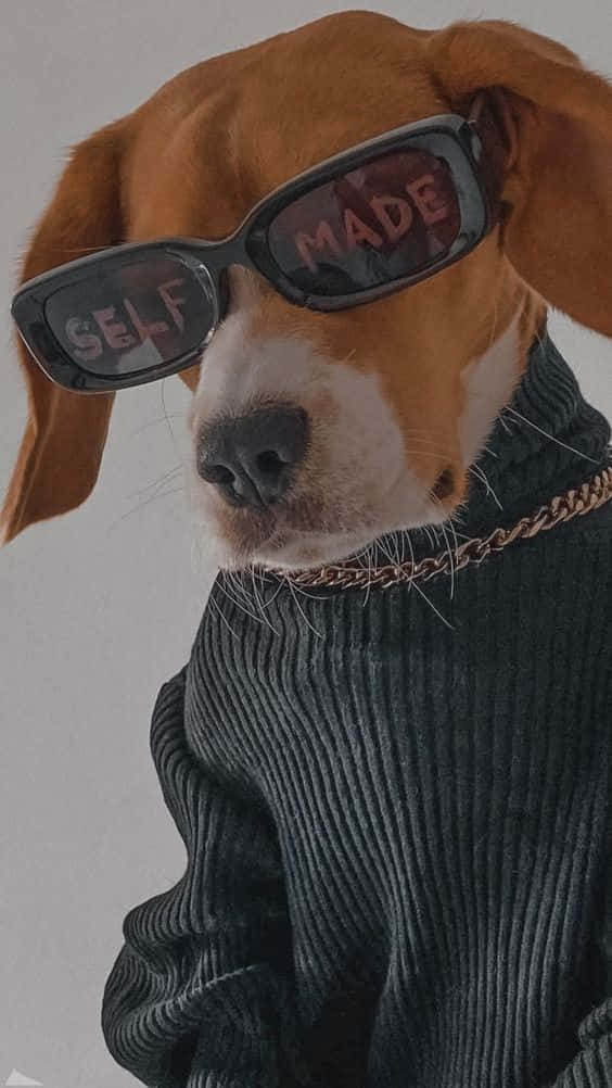 beagle dog, oversized sunglasses, SELF MADE text, SD Phone Wallpaper