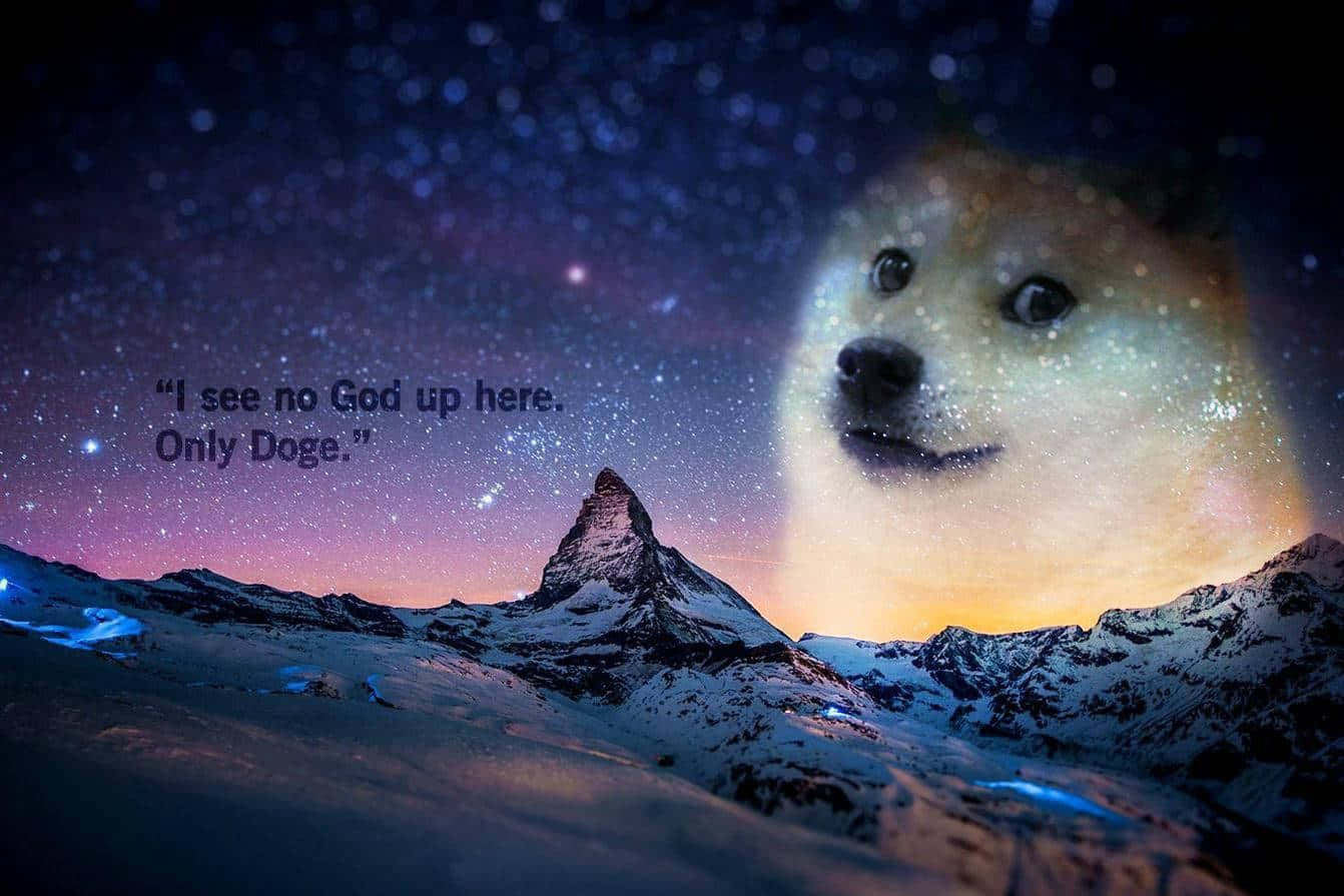 Doge, snowy mountain landscape, starry night sky, HD Desktop Wallpaper