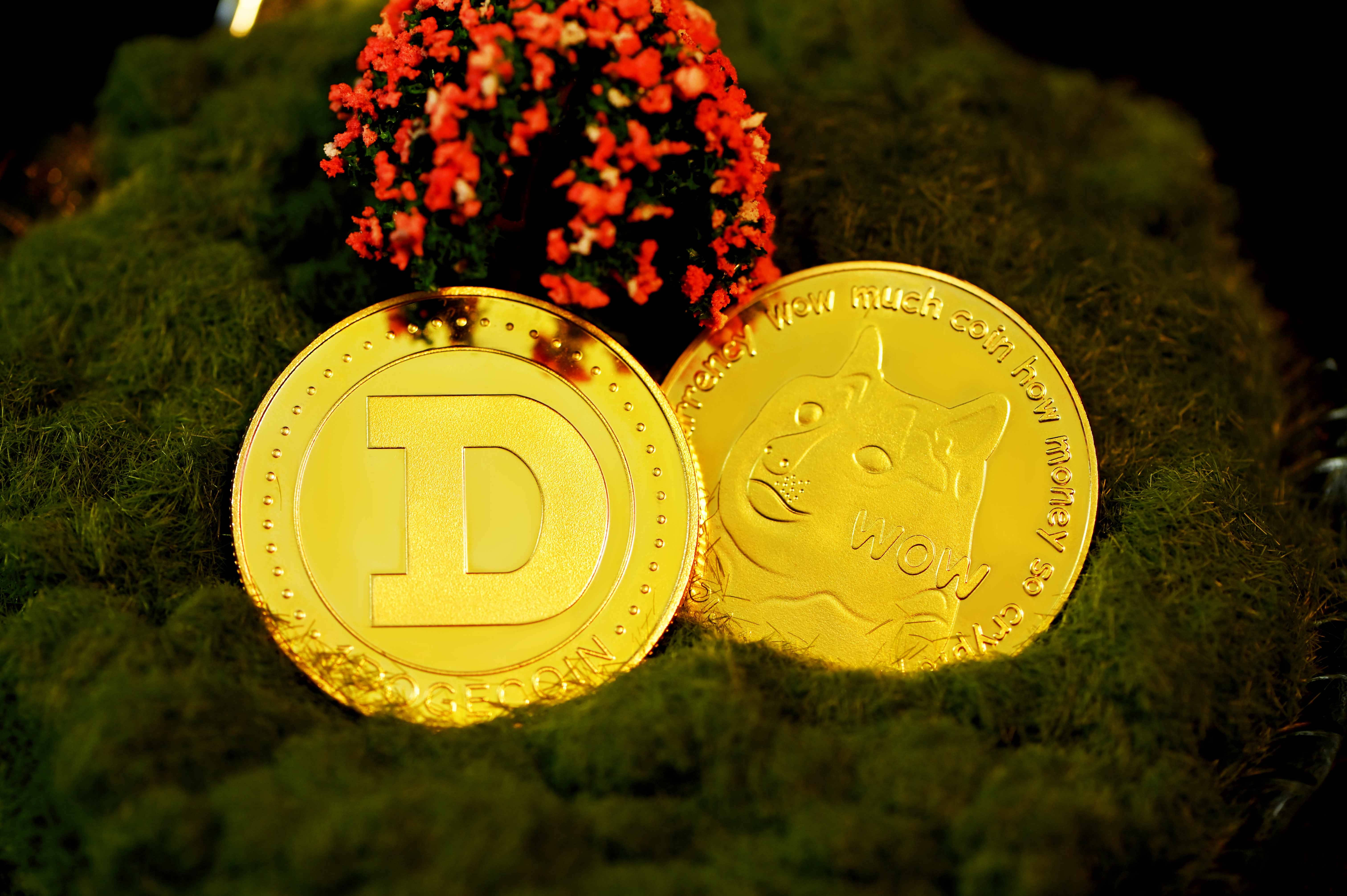 Dogecoin, gold cryptocurrency coins, lush green moss, 5K Desktop Wallpaper