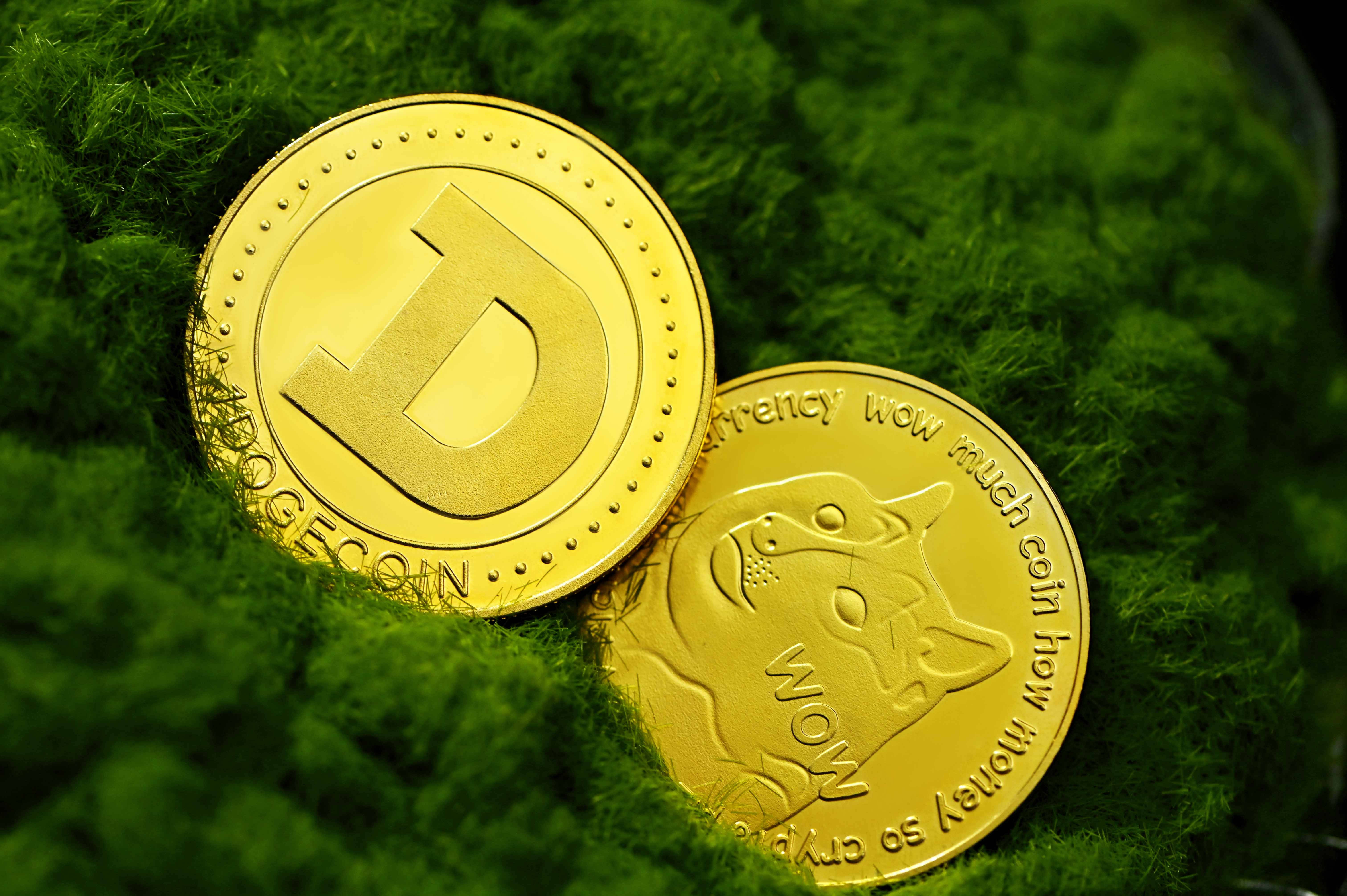 Dogecoin, golden, moss, 5K Desktop Wallpaper