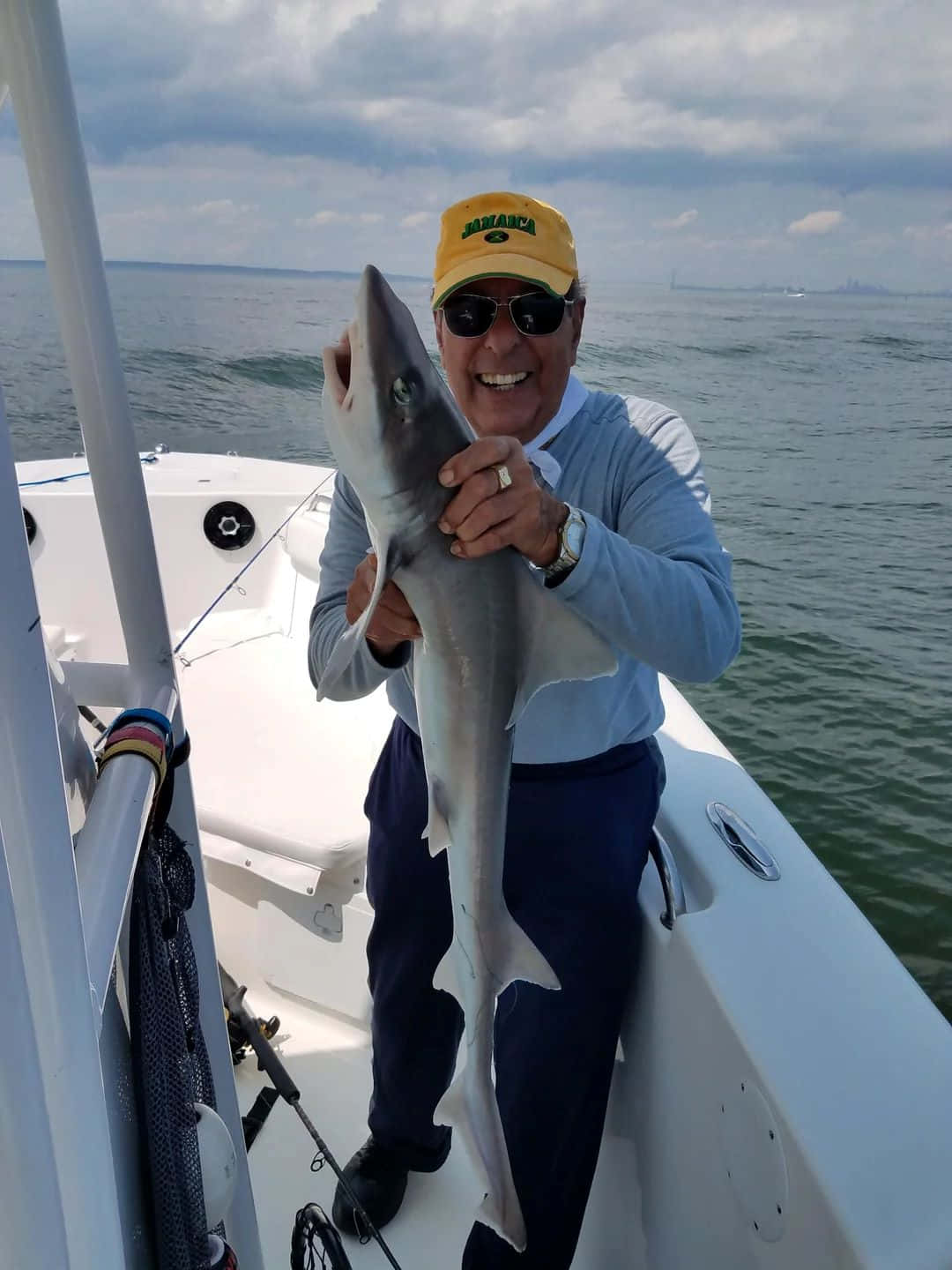 Dogfish, yellow cap, sunglasses, HD Phone Wallpaper