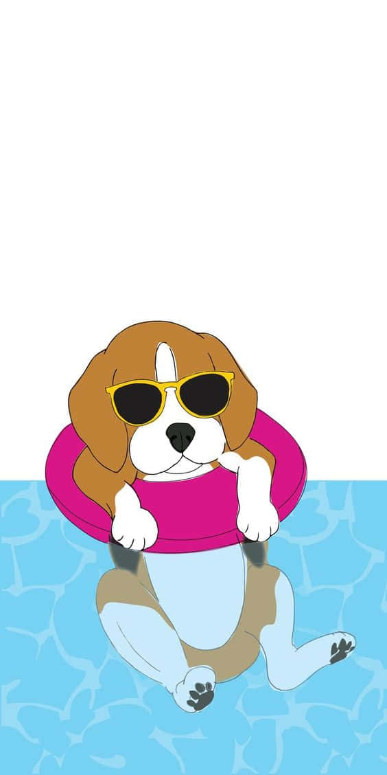 beagle, yellow sunglasses, pink floatie, SD Phone Wallpaper