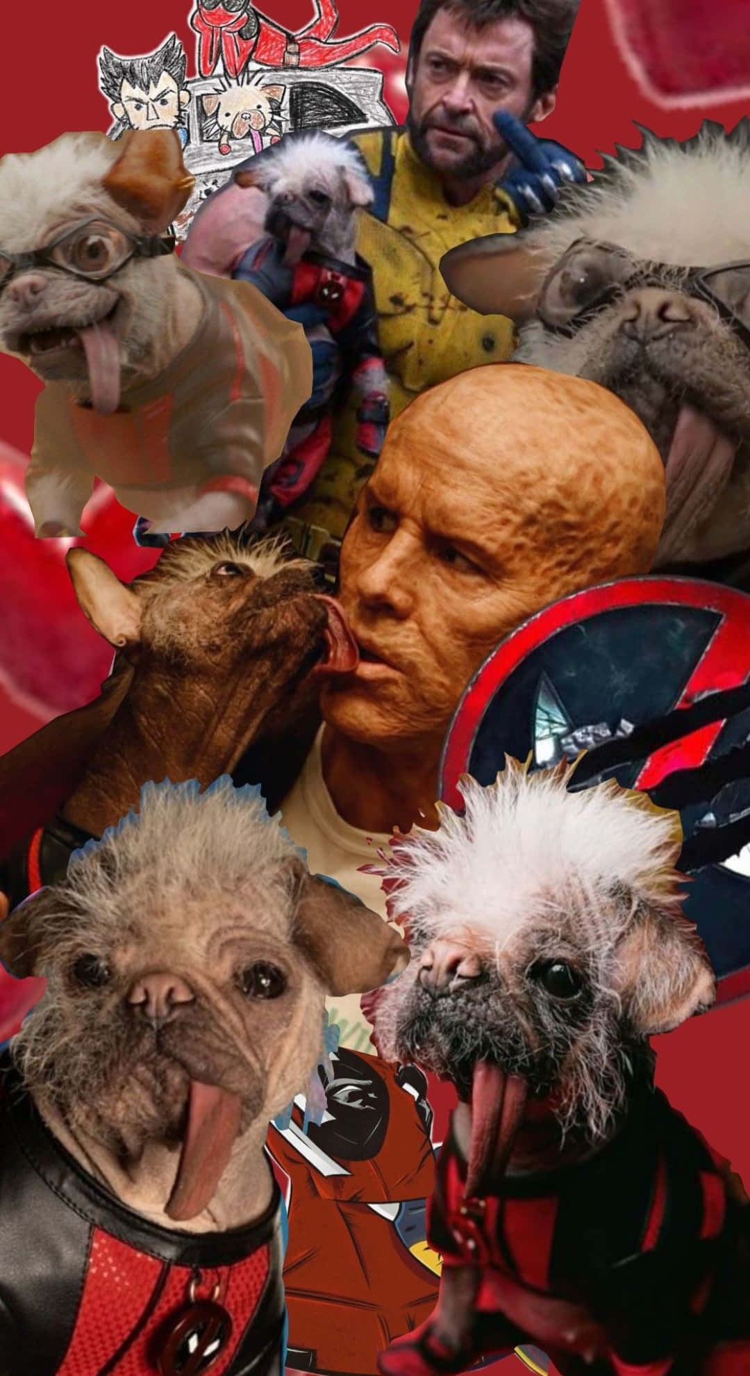 Dogpool, superheroes, comic book characters, Full HD Phone Wallpaper